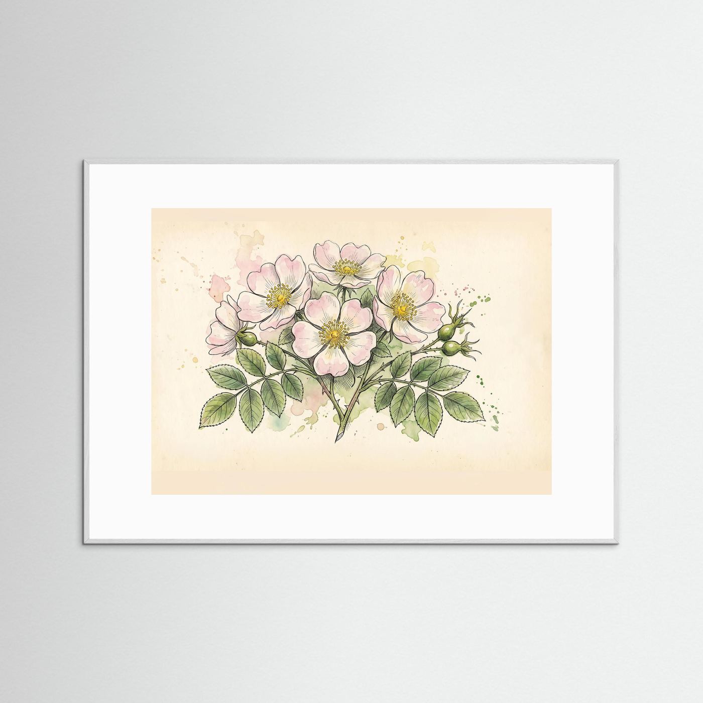 Dog Rose/ Botanical Print