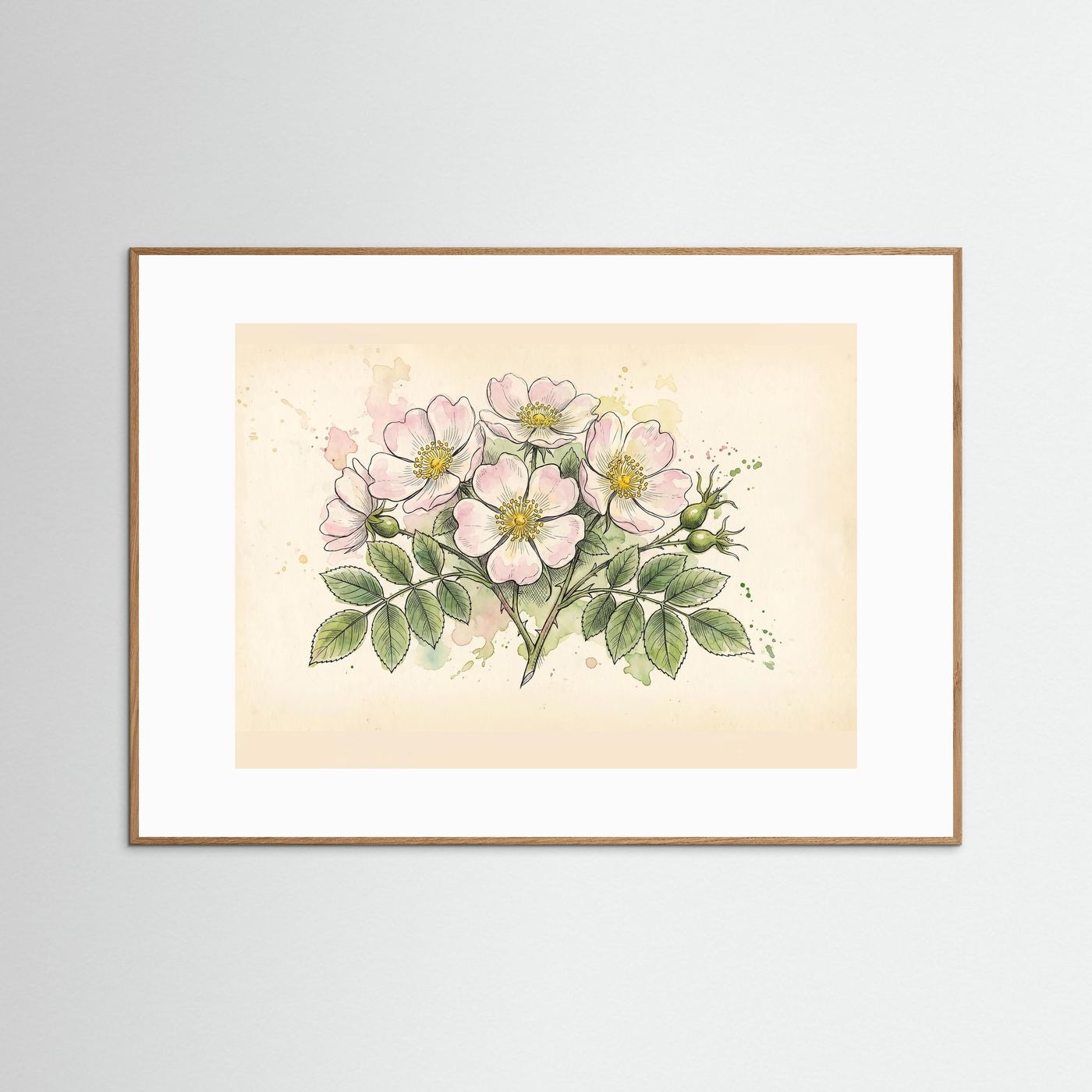 Dog Rose/ Botanical Print