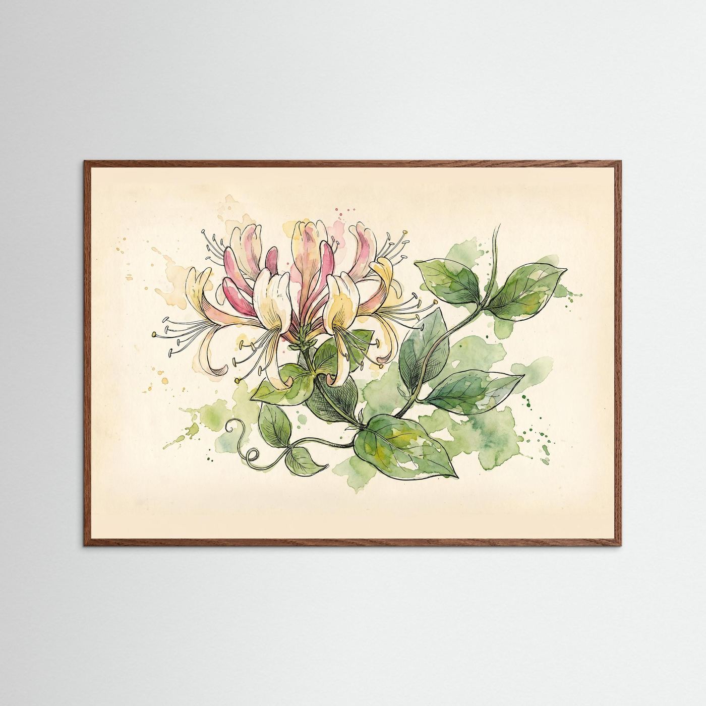 Honeysuckle / Botanical Print
