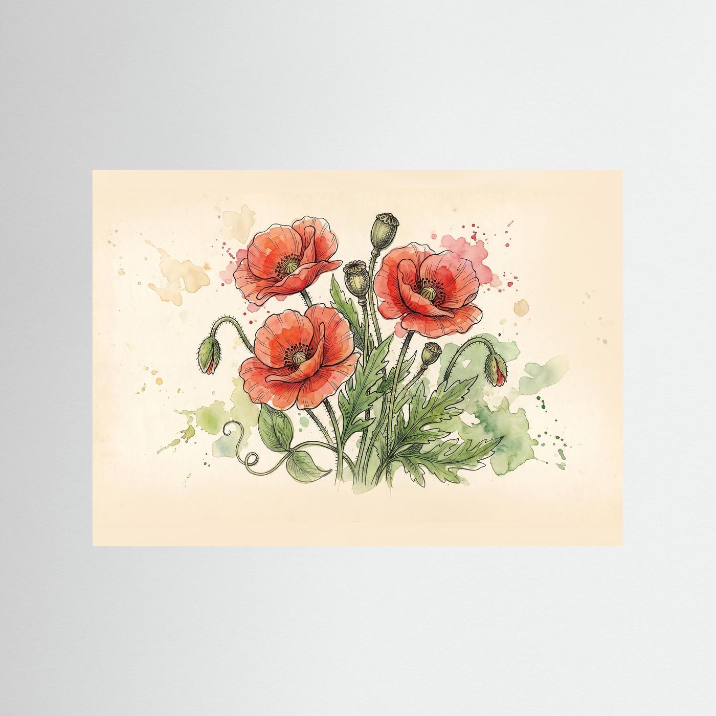Wld poppy / Art Print/ Botanical Illustration