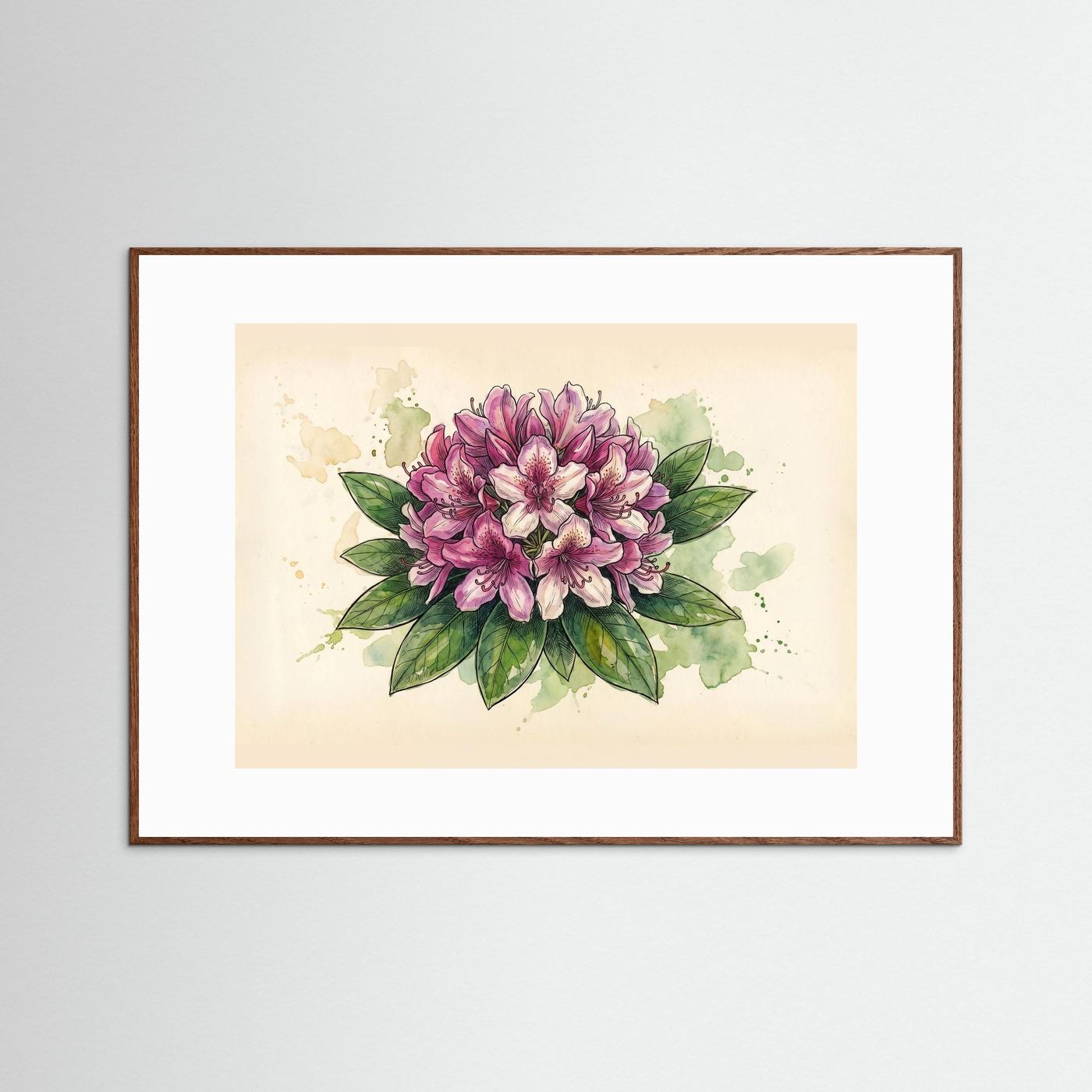 Rhododendron /Botanical  Print