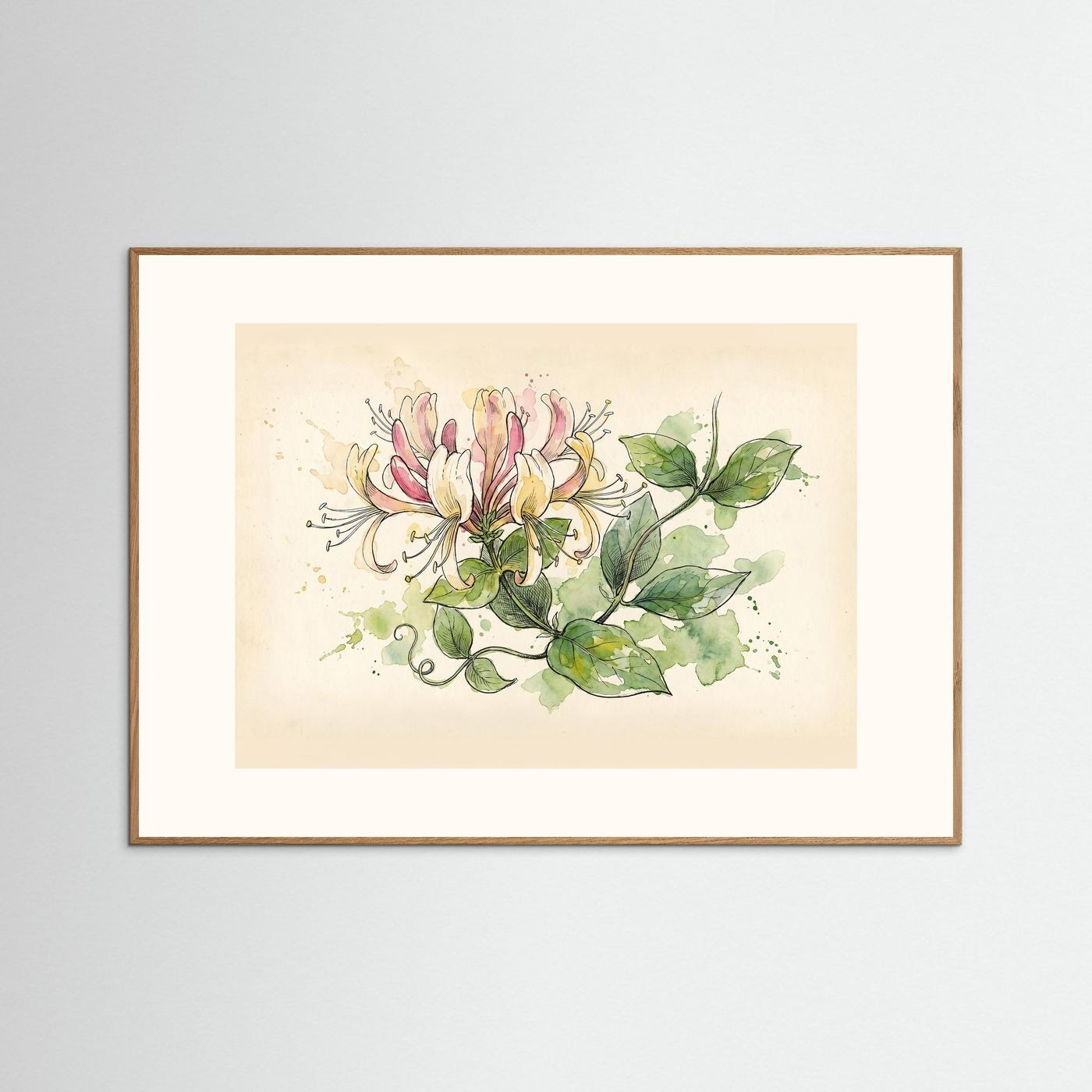 Honeysuckle / Botanical Print