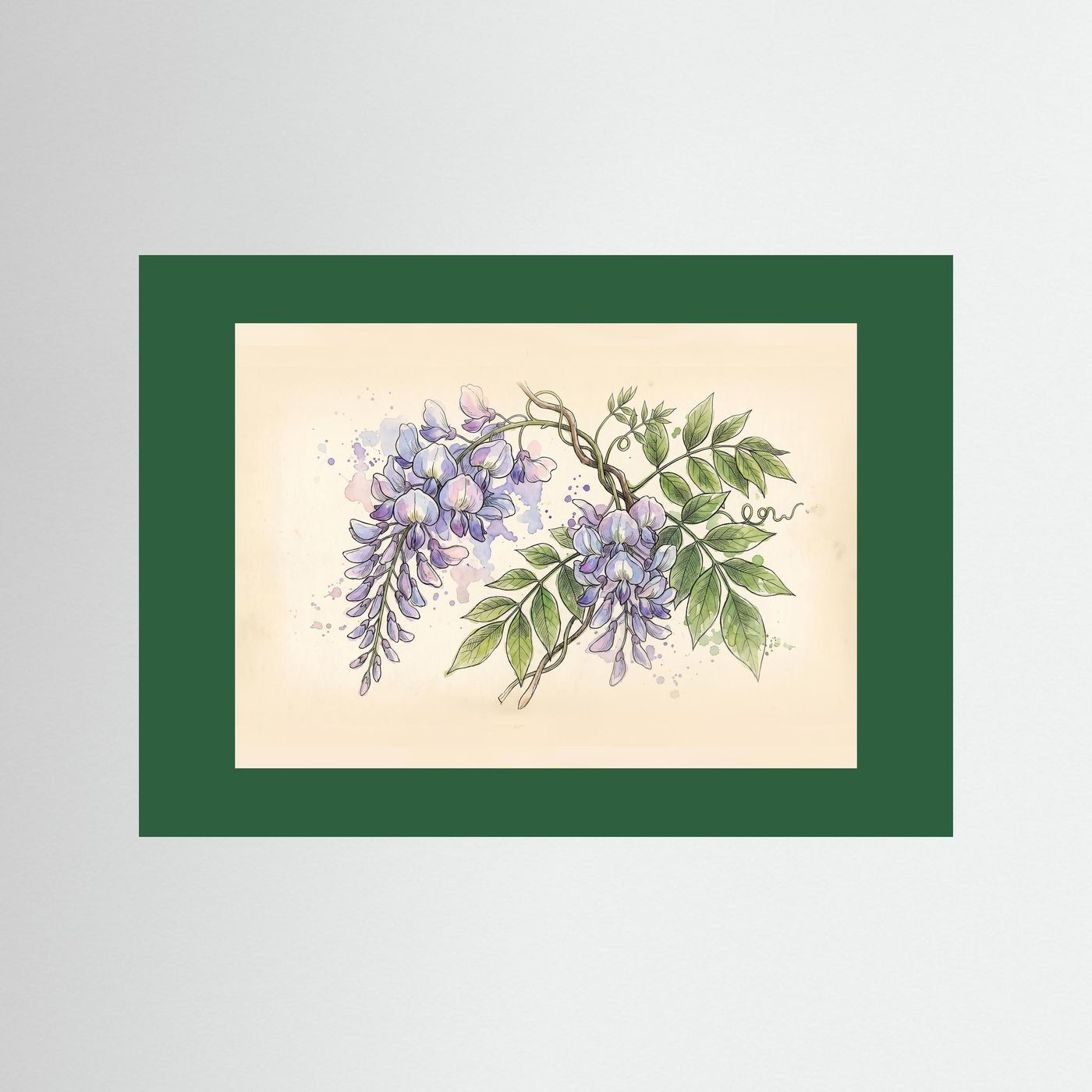 Wisteria / Botanical Print