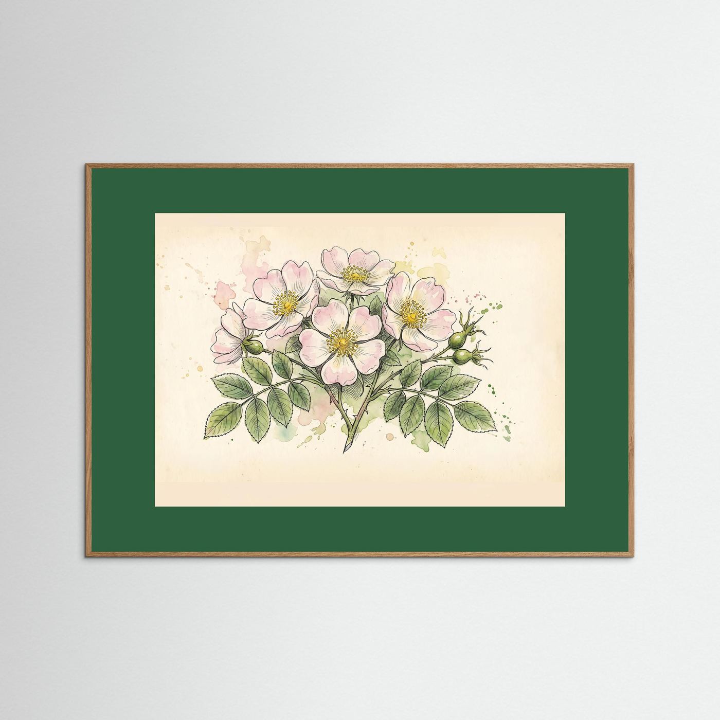 Dog Rose/ Botanical Print