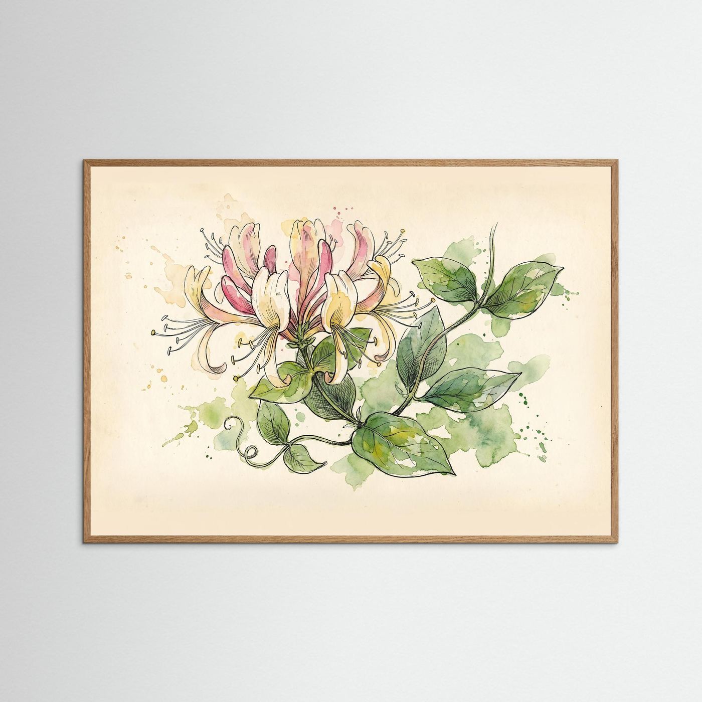 Honeysuckle / Botanical Print