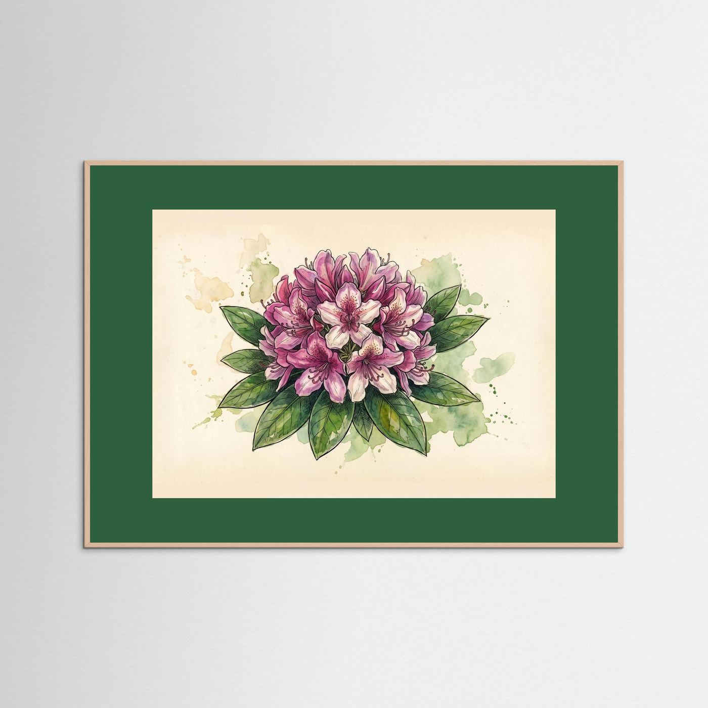 Rhododendron /Botanical  Print