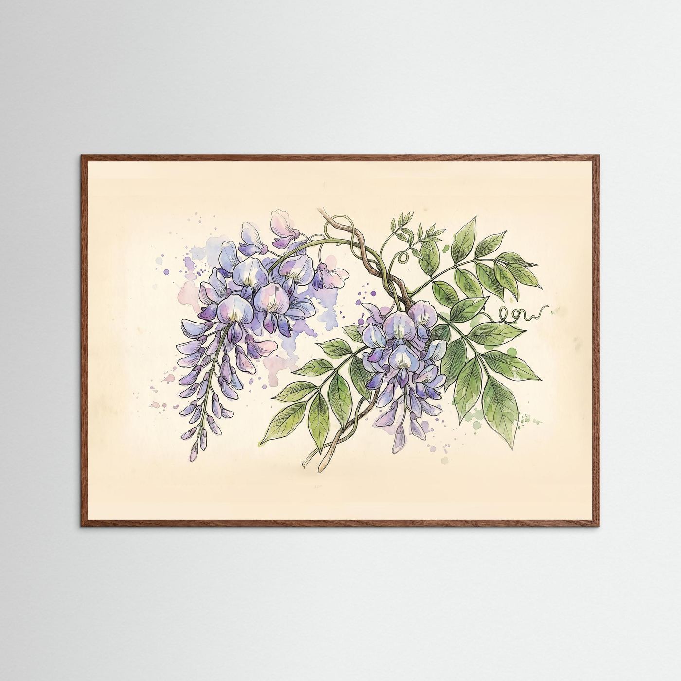 Wisteria / Botanical Print