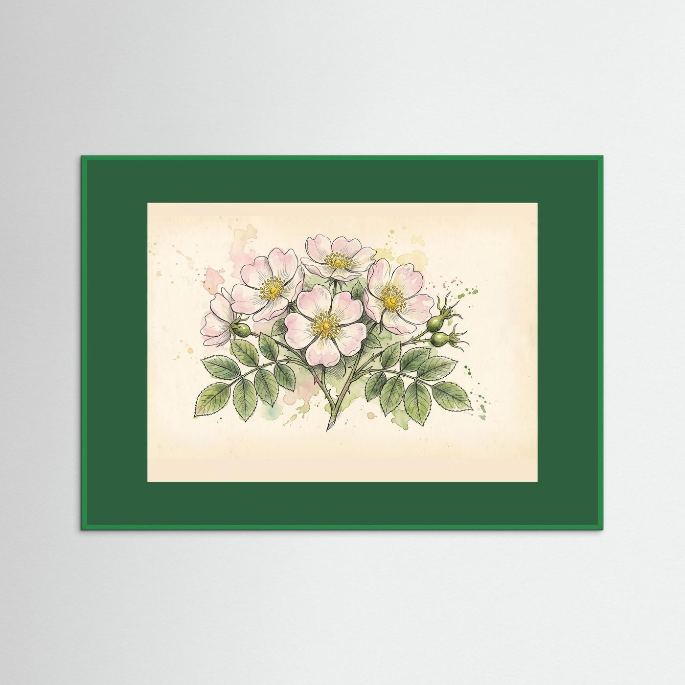 Dog Rose/ Botanical Print