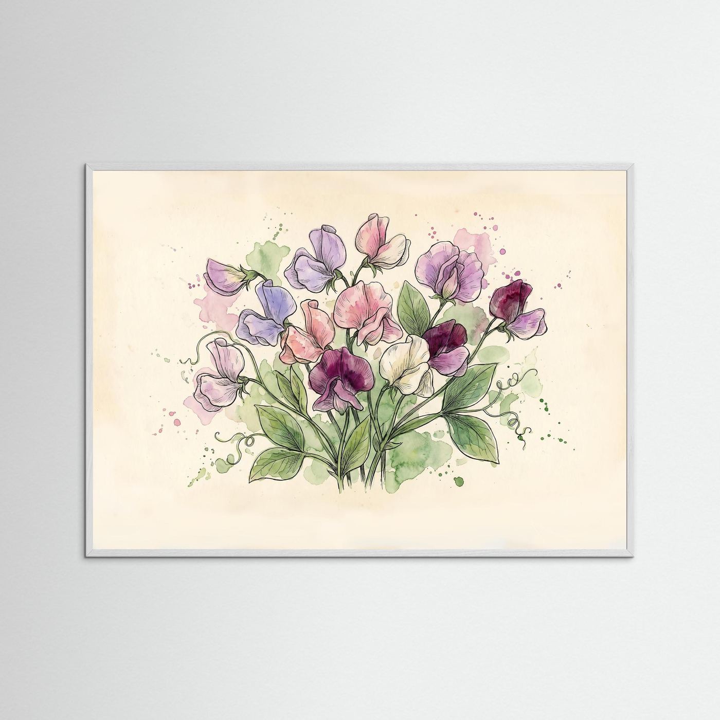 Sweetpea / Botanical print