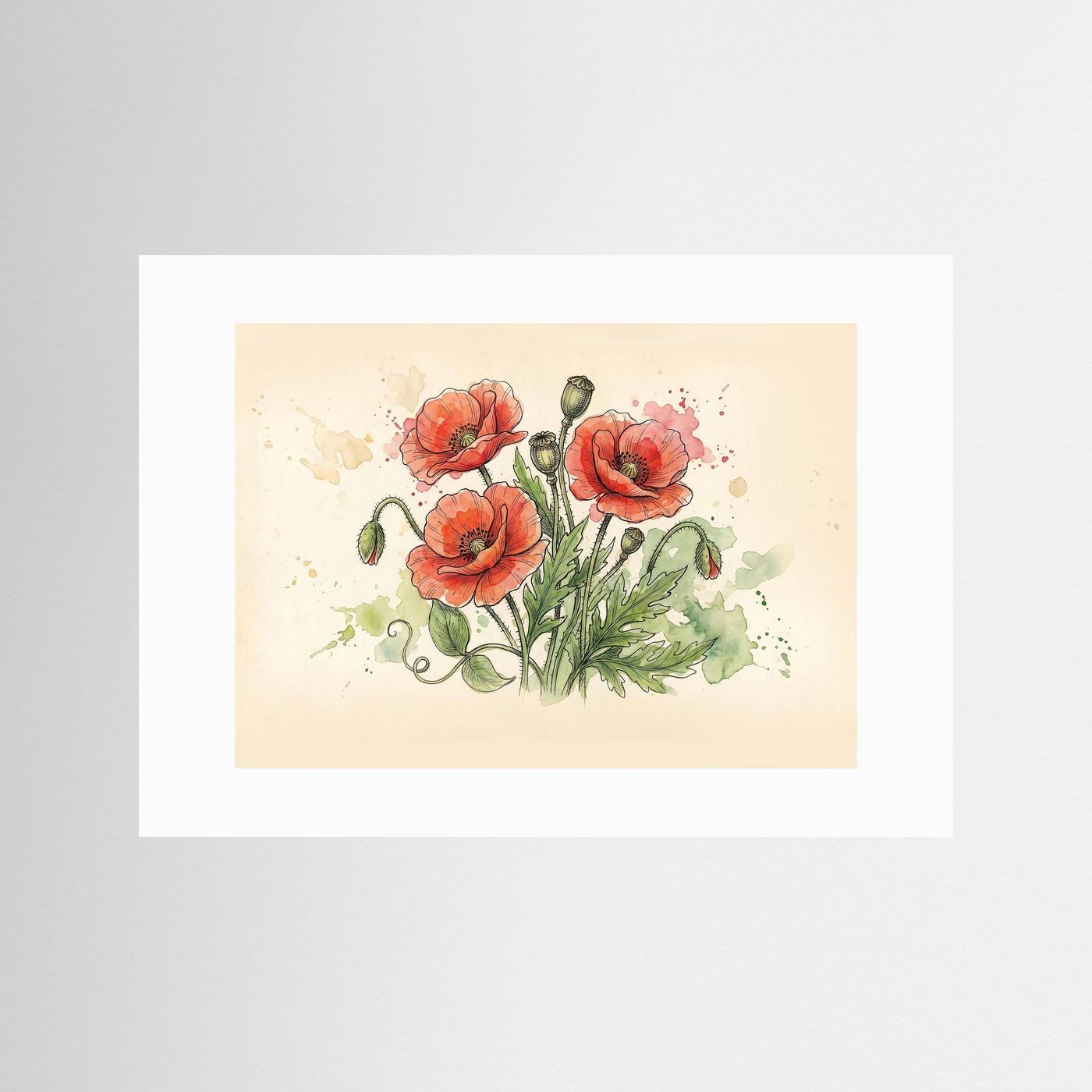 Wld poppy / Art Print/ Botanical Illustration