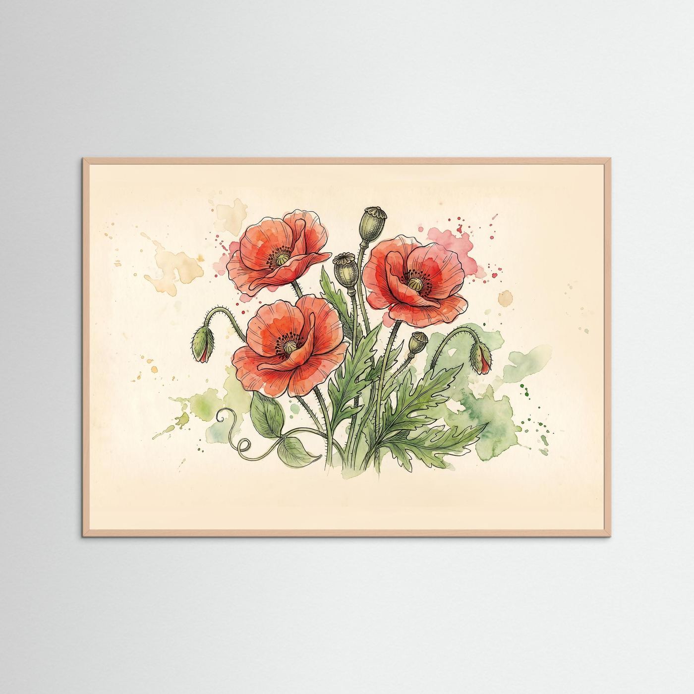 Wld poppy / Art Print/ Botanical Illustration