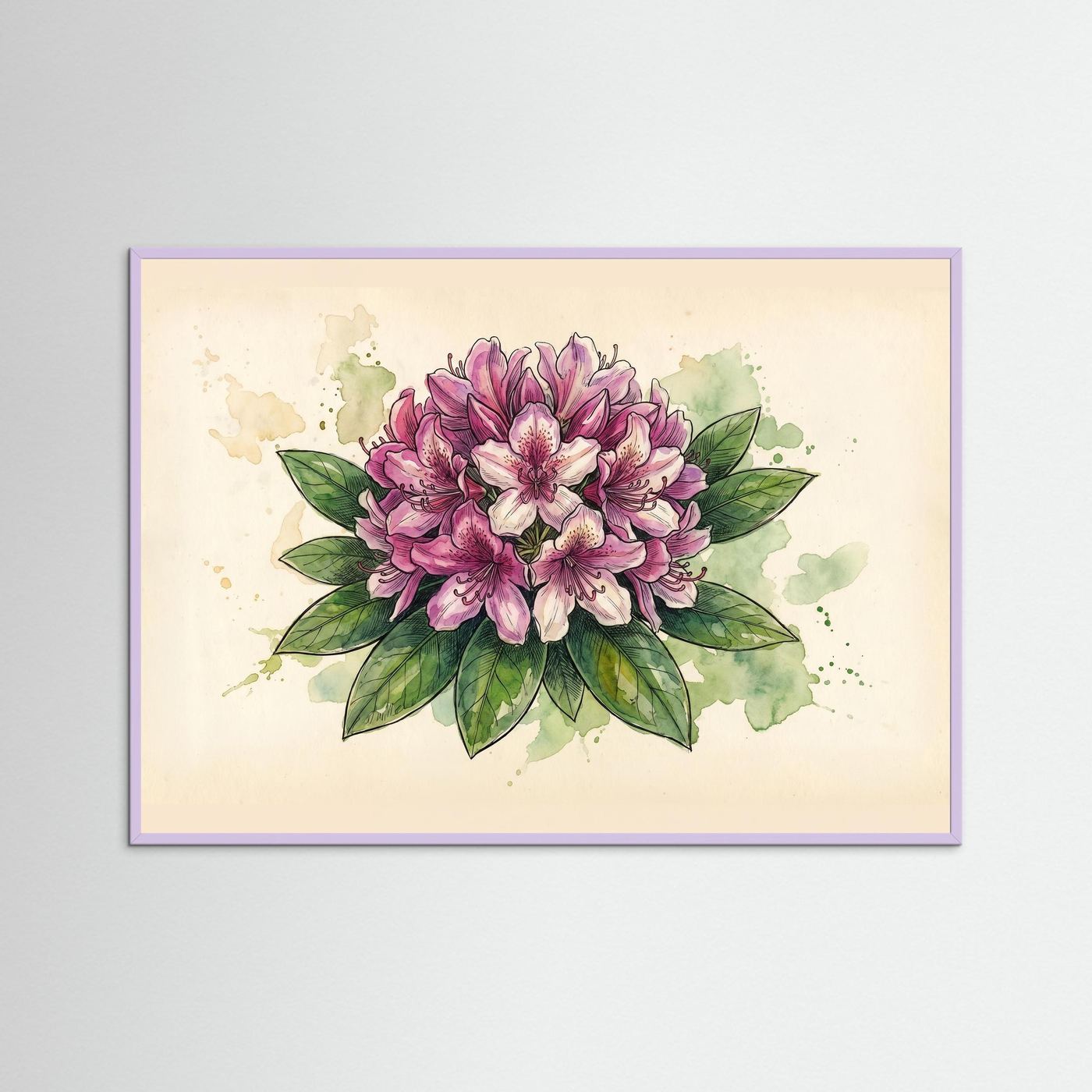 Rhododendron /Botanical  Print