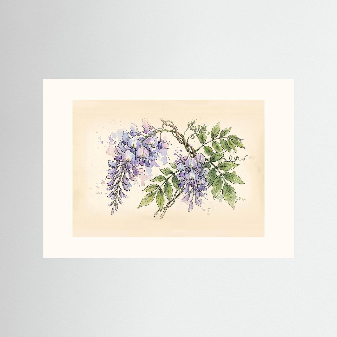 Wisteria / Botanical Print