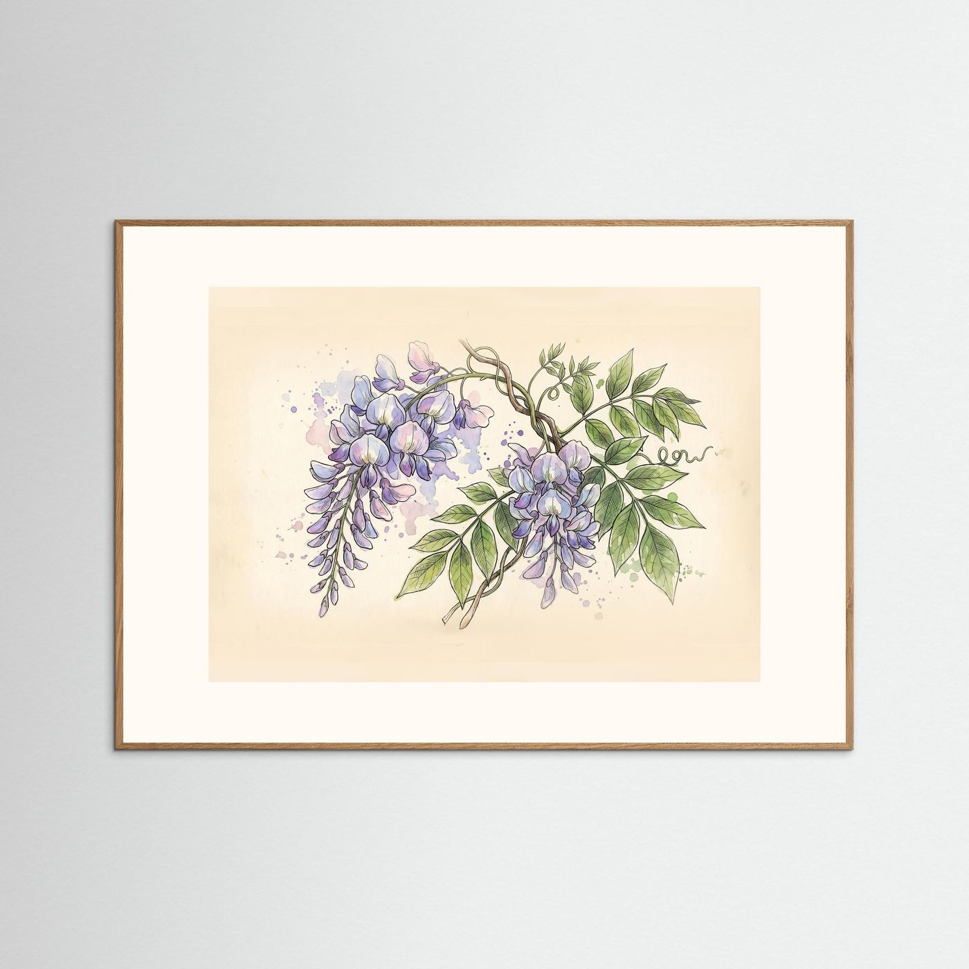 Wisteria / Botanical Print