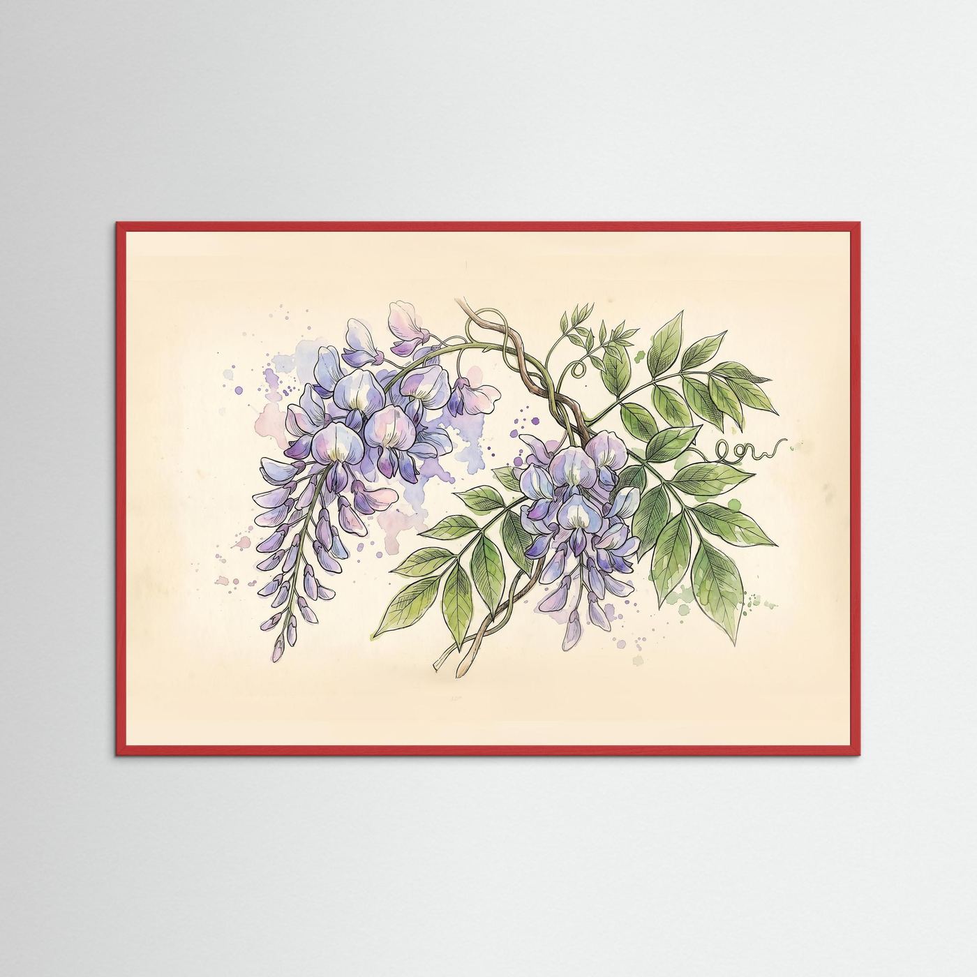 Wisteria / Botanical Print