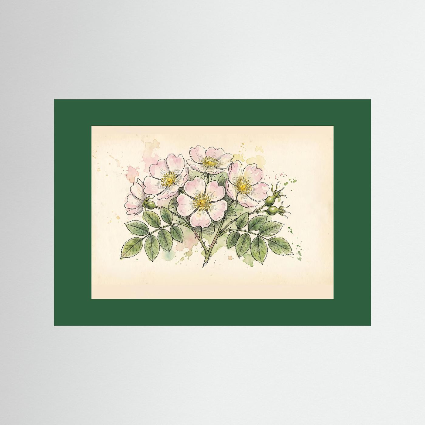 Dog Rose/ Botanical Print