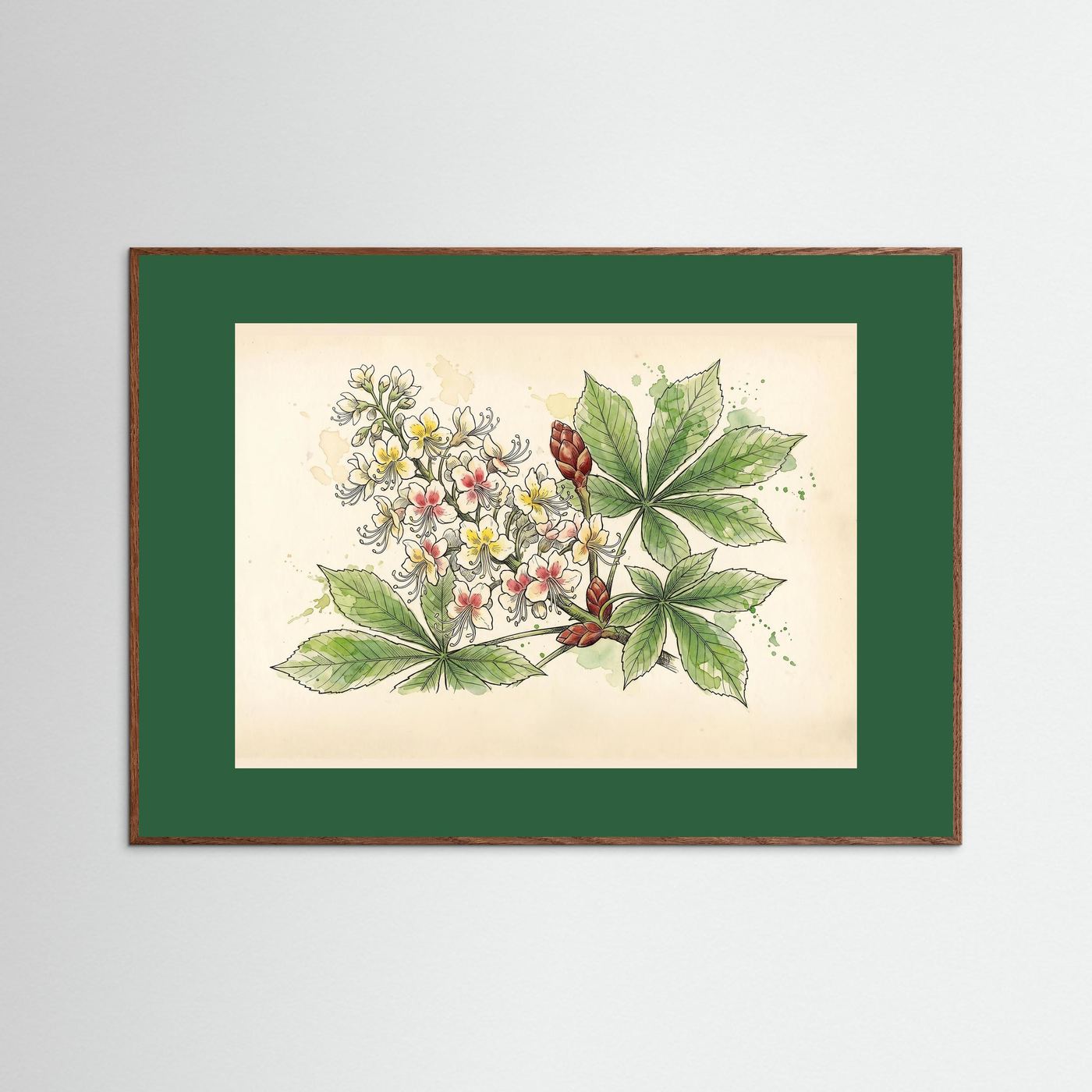 Horse Chestnut Bloom / Botanical Print