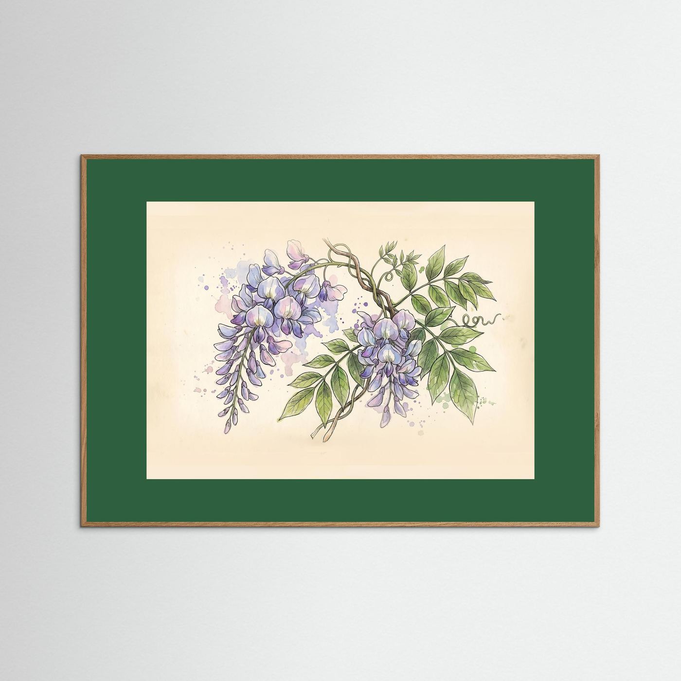 Wisteria / Botanical Print