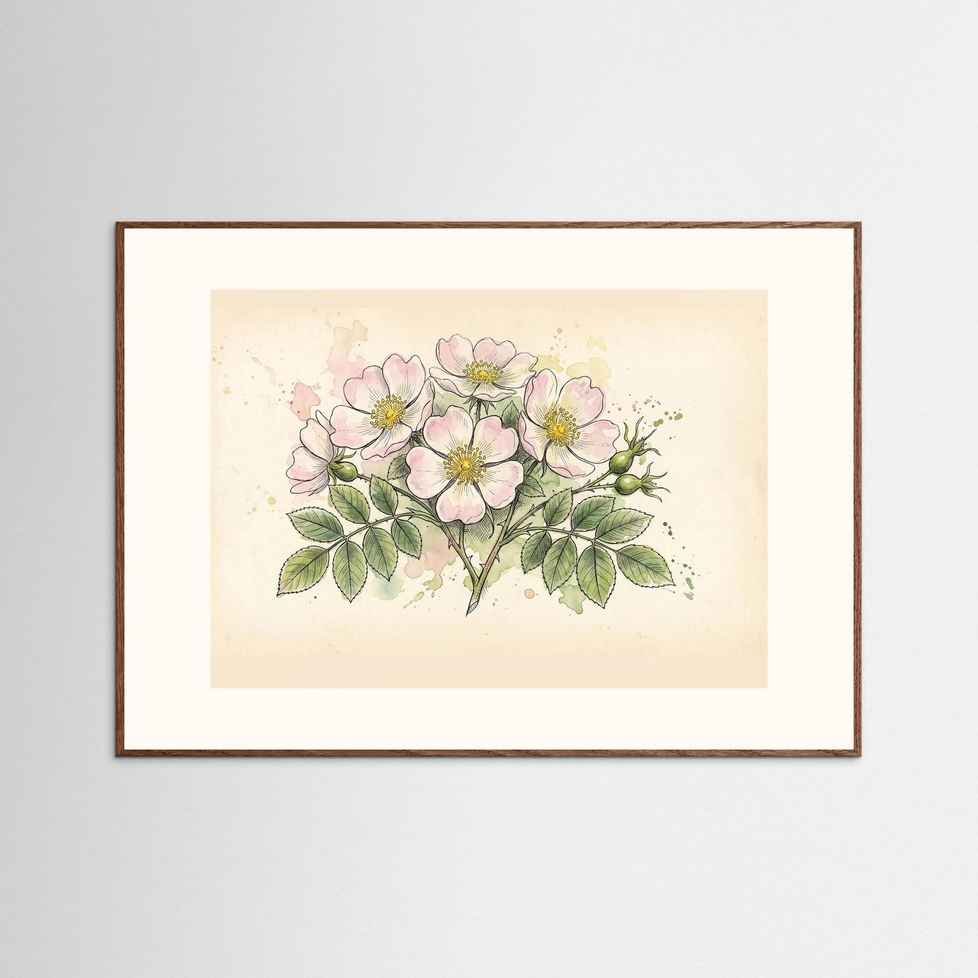 Dog Rose/ Botanical Print