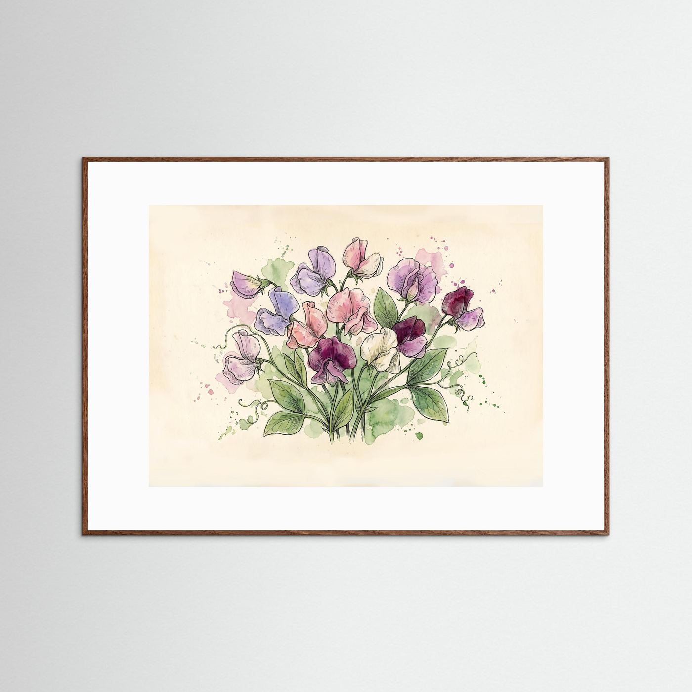 Sweetpea / Botanical print