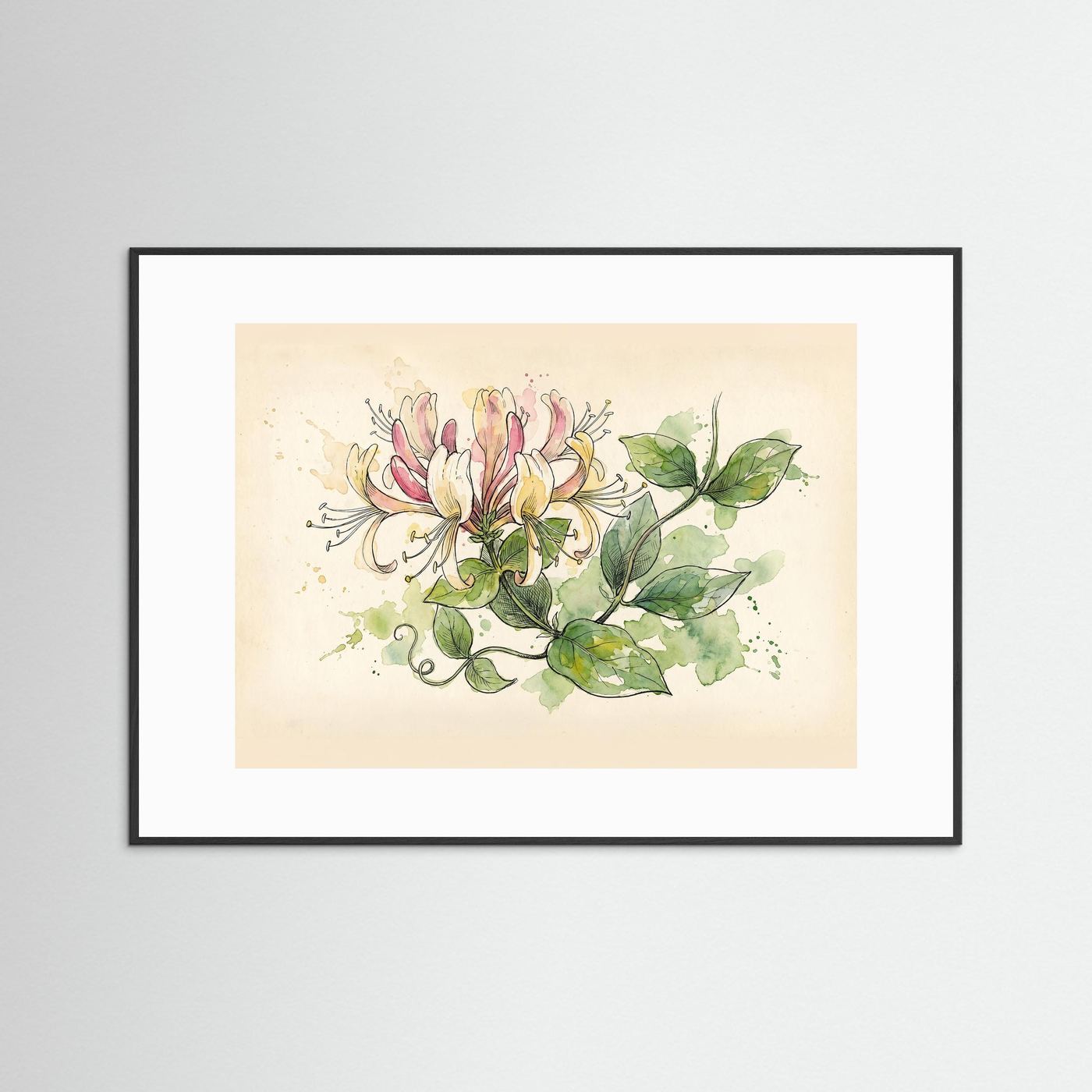 Honeysuckle / Botanical Print
