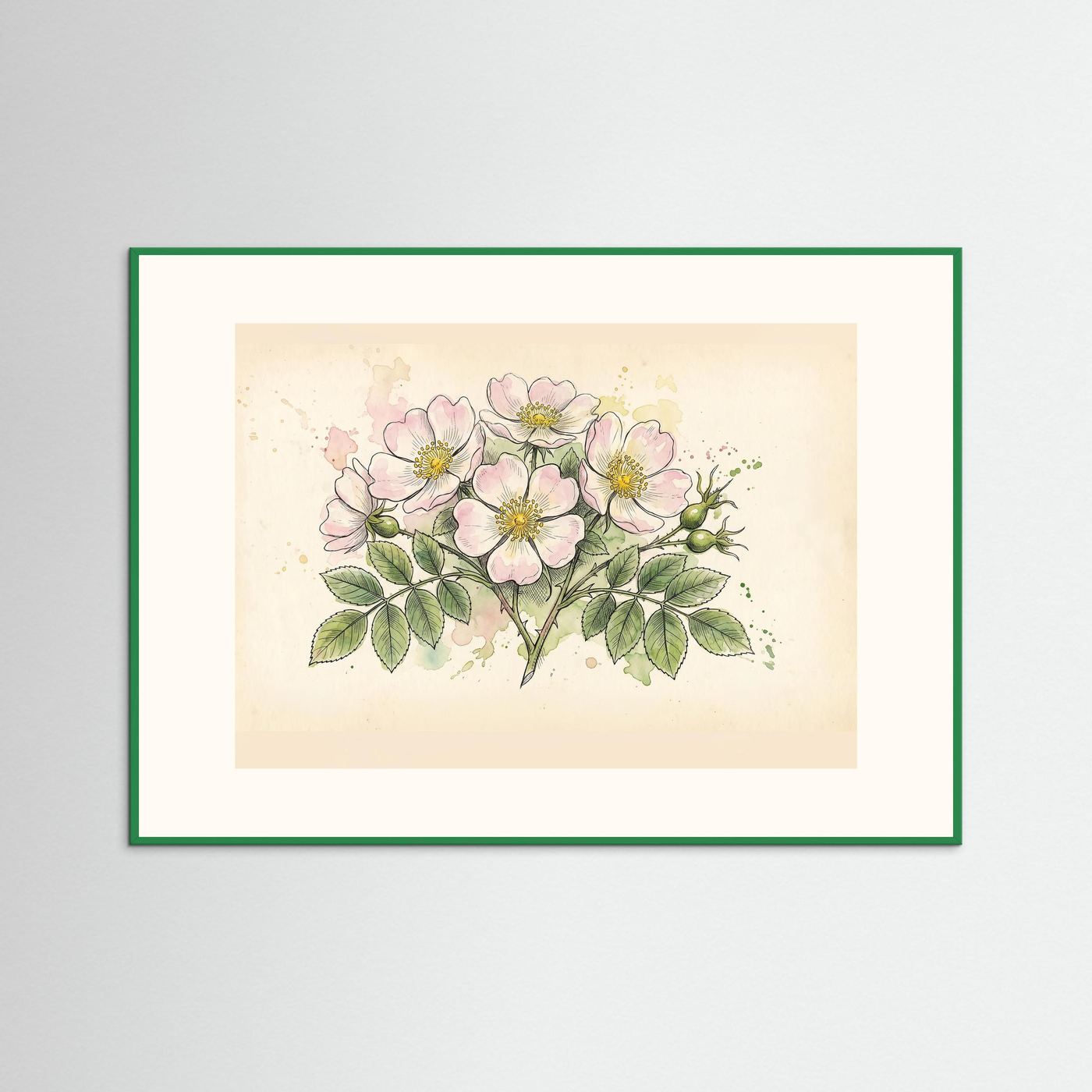 Dog Rose/ Botanical Print