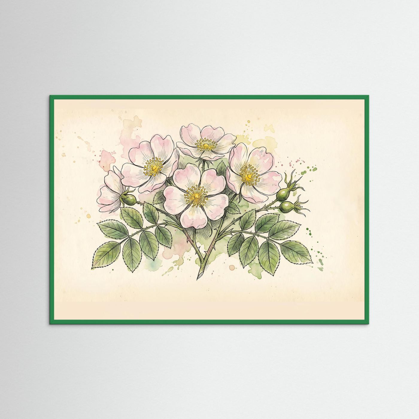 Dog Rose/ Botanical Print