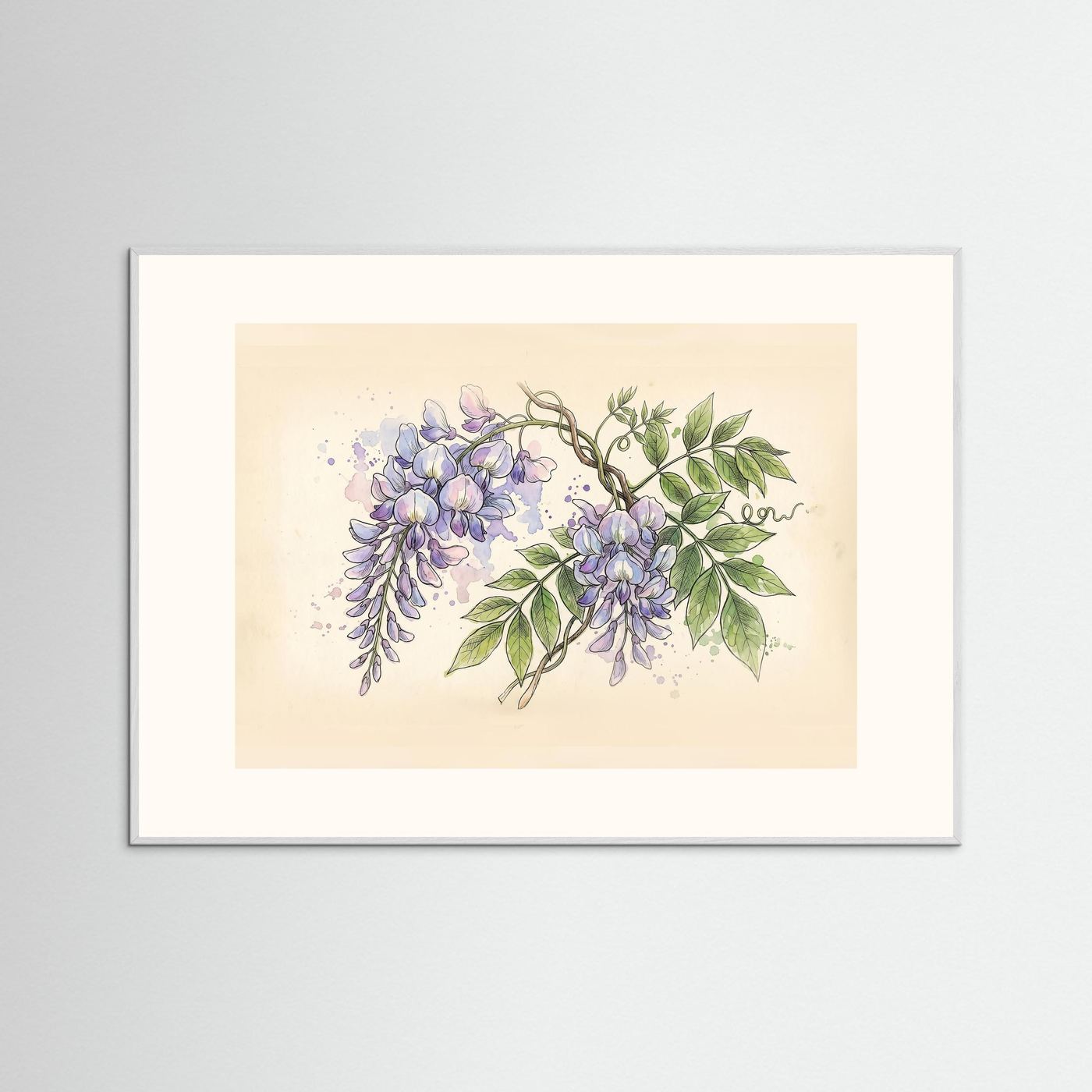 Wisteria / Botanical Print