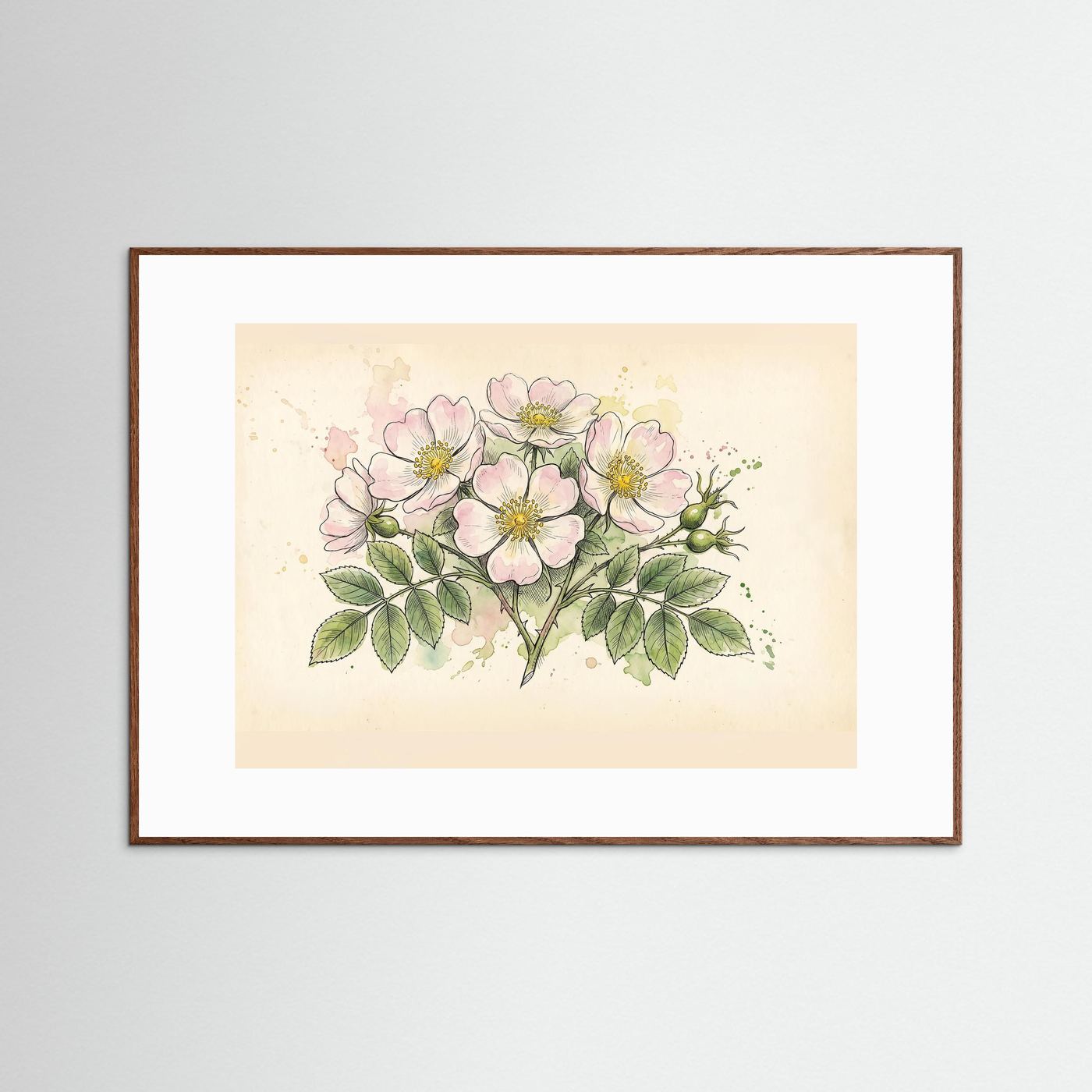 Dog Rose/ Botanical Print