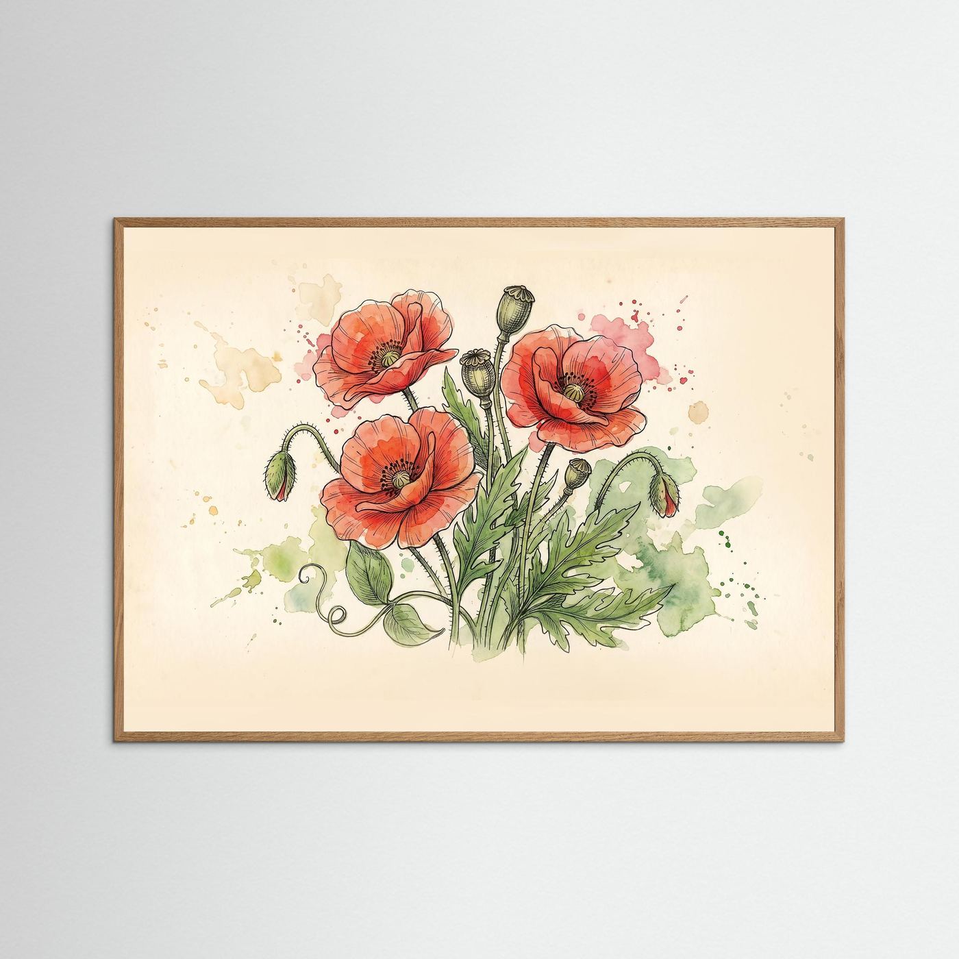 Wld poppy / Art Print/ Botanical Illustration
