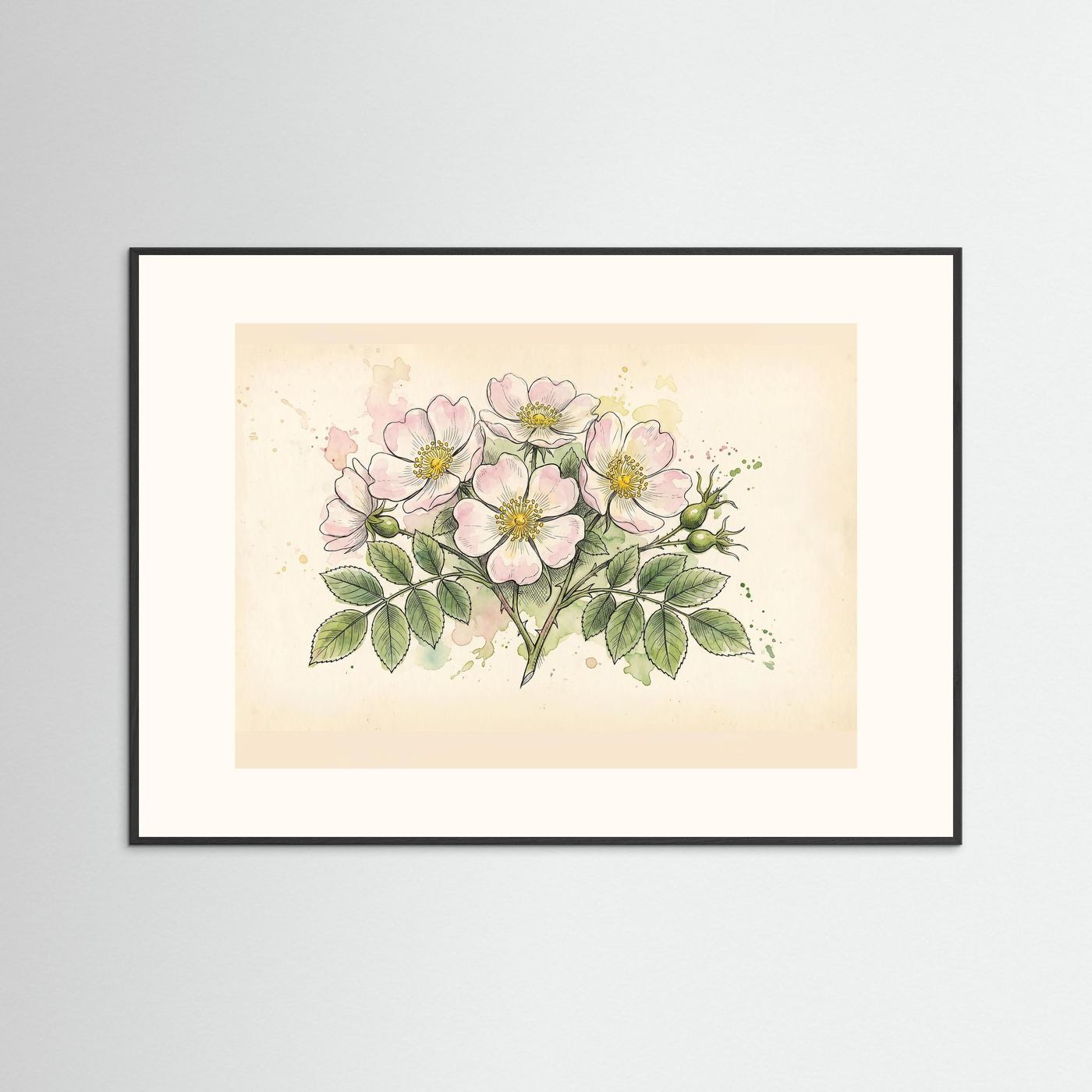 Dog Rose/ Botanical Print