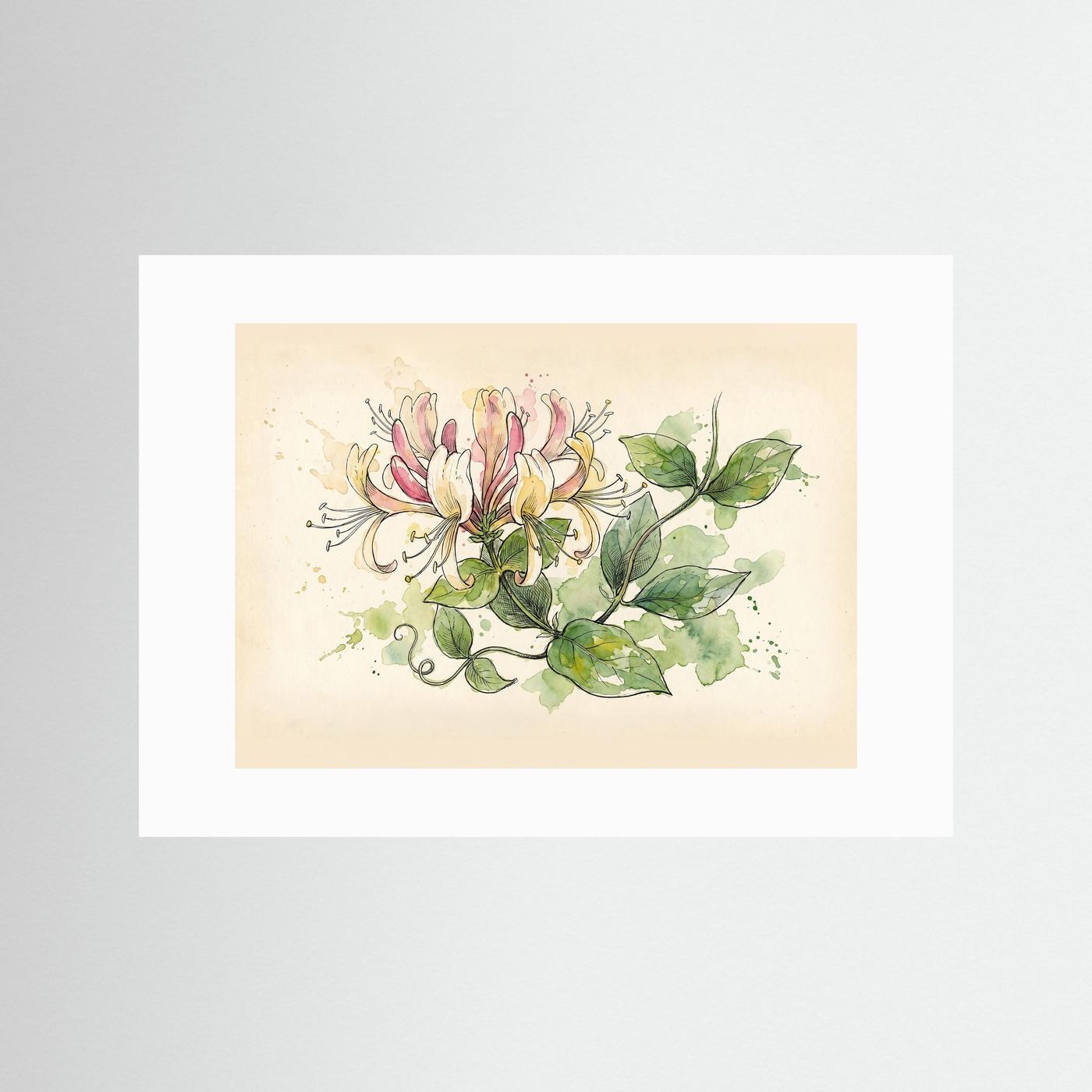 Honeysuckle / Botanical Print