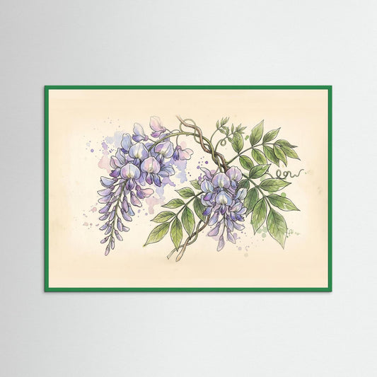 Wisteria / Botanical Print