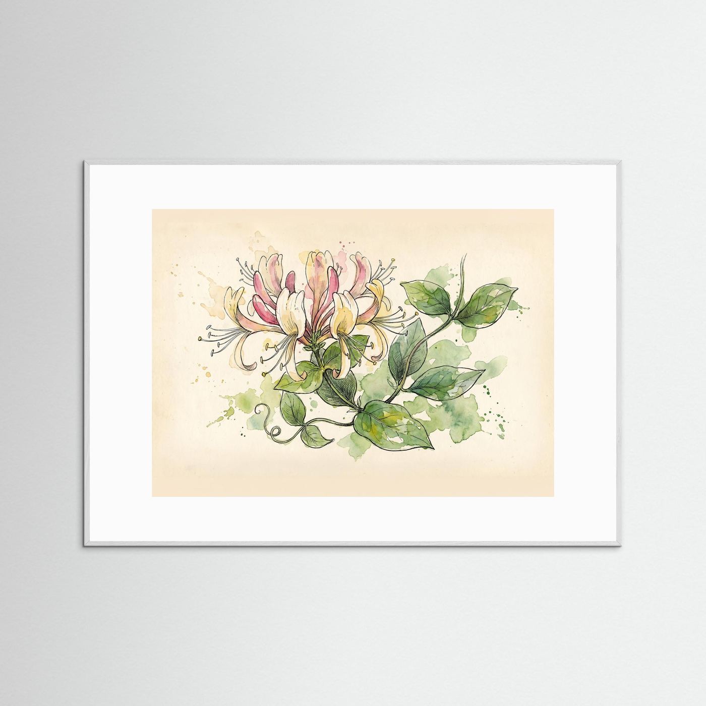 Honeysuckle / Botanical Print