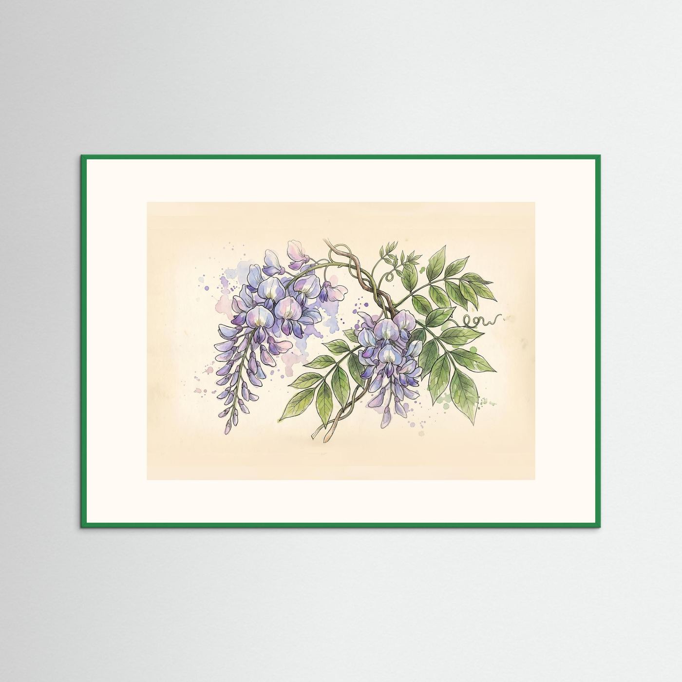 Wisteria / Botanical Print