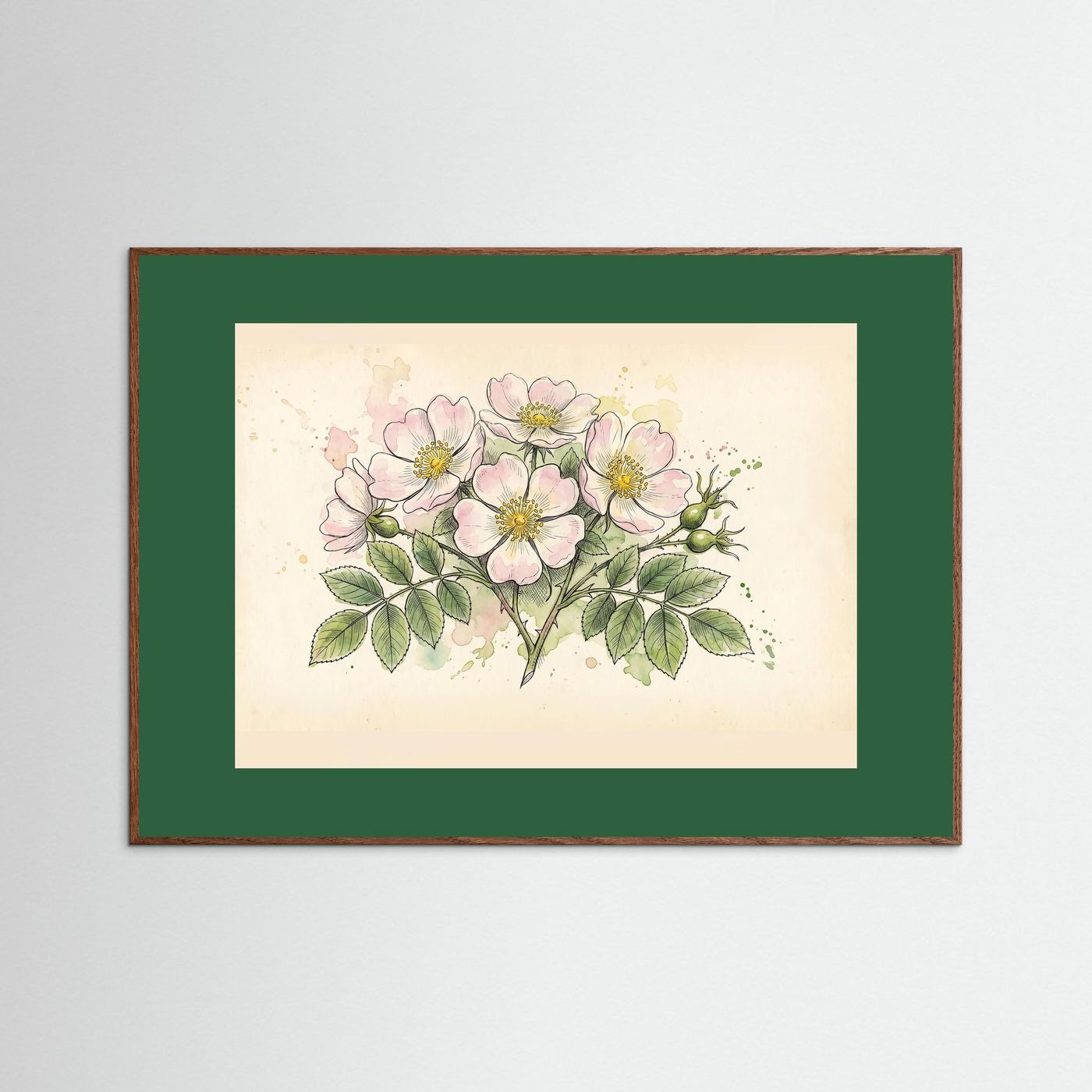 Dog Rose/ Botanical Print