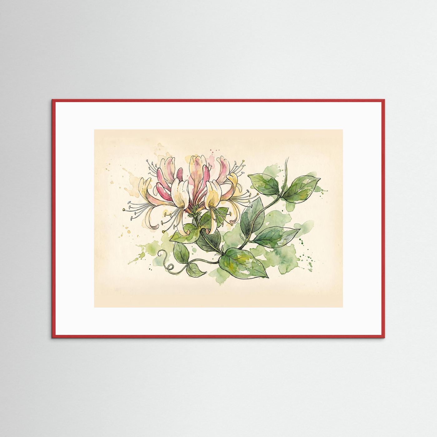 Honeysuckle / Botanical Print