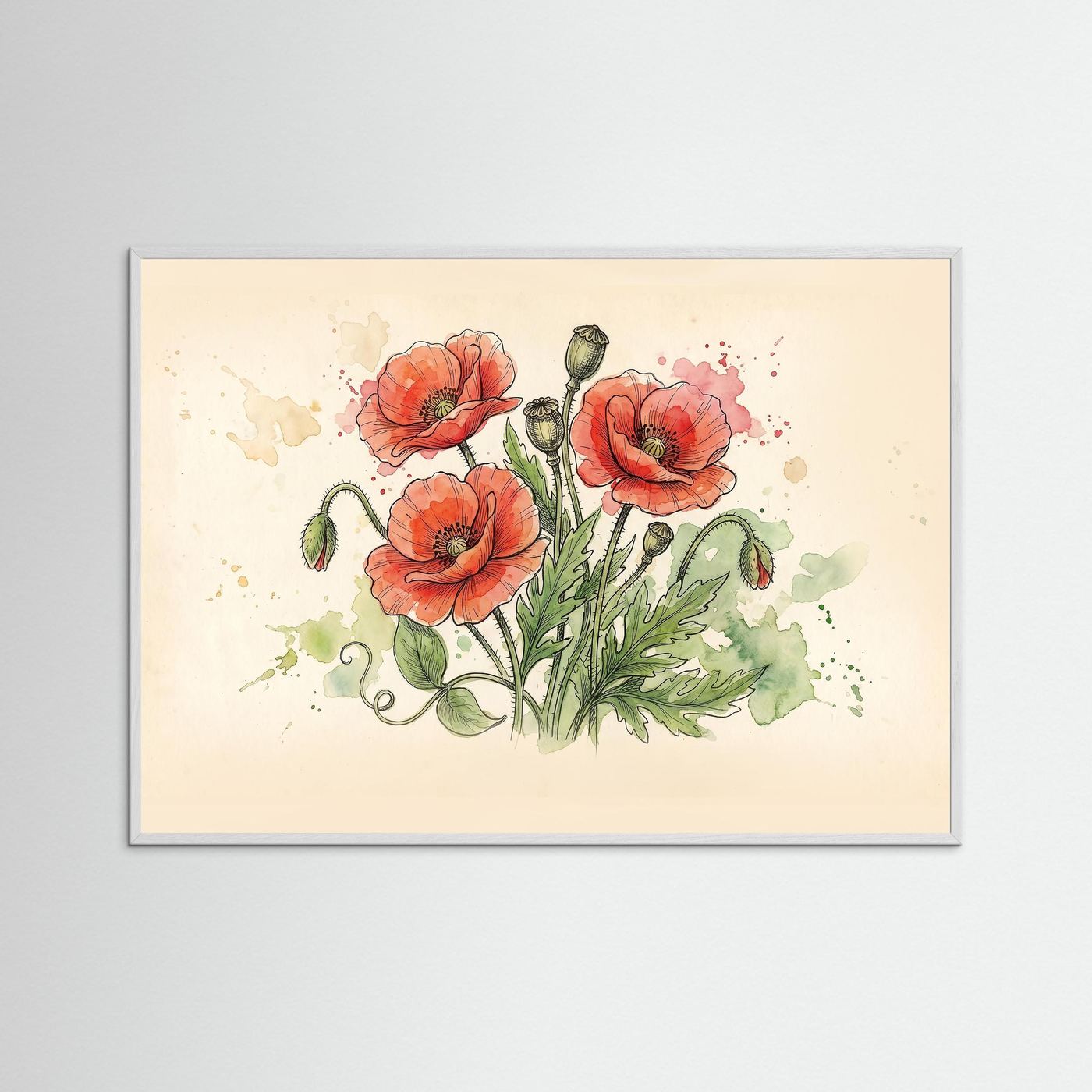 Wld poppy / Art Print/ Botanical Illustration