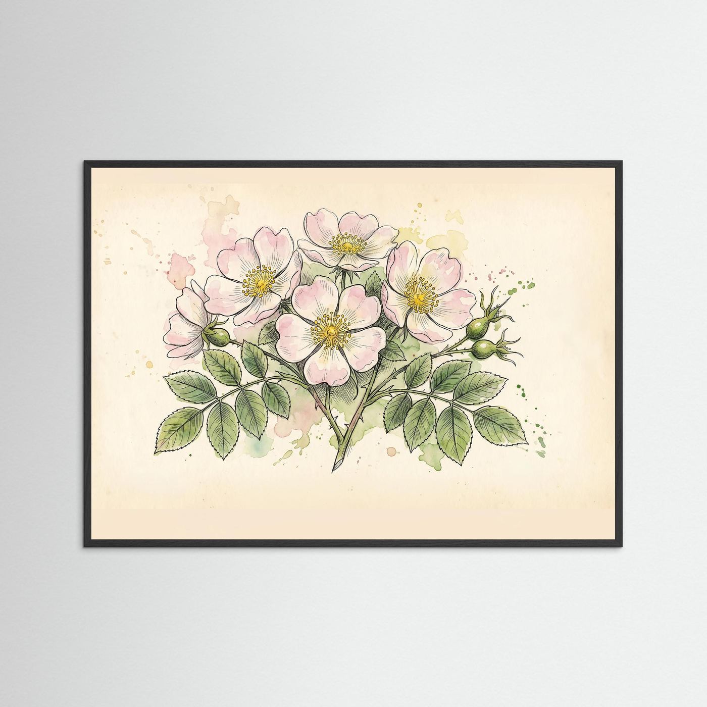Dog Rose/ Botanical Print