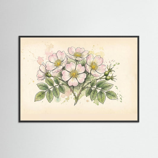 Dog Rose/ Botanical Print