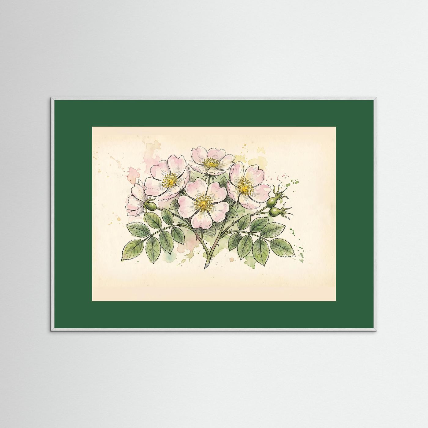 Dog Rose/ Botanical Print