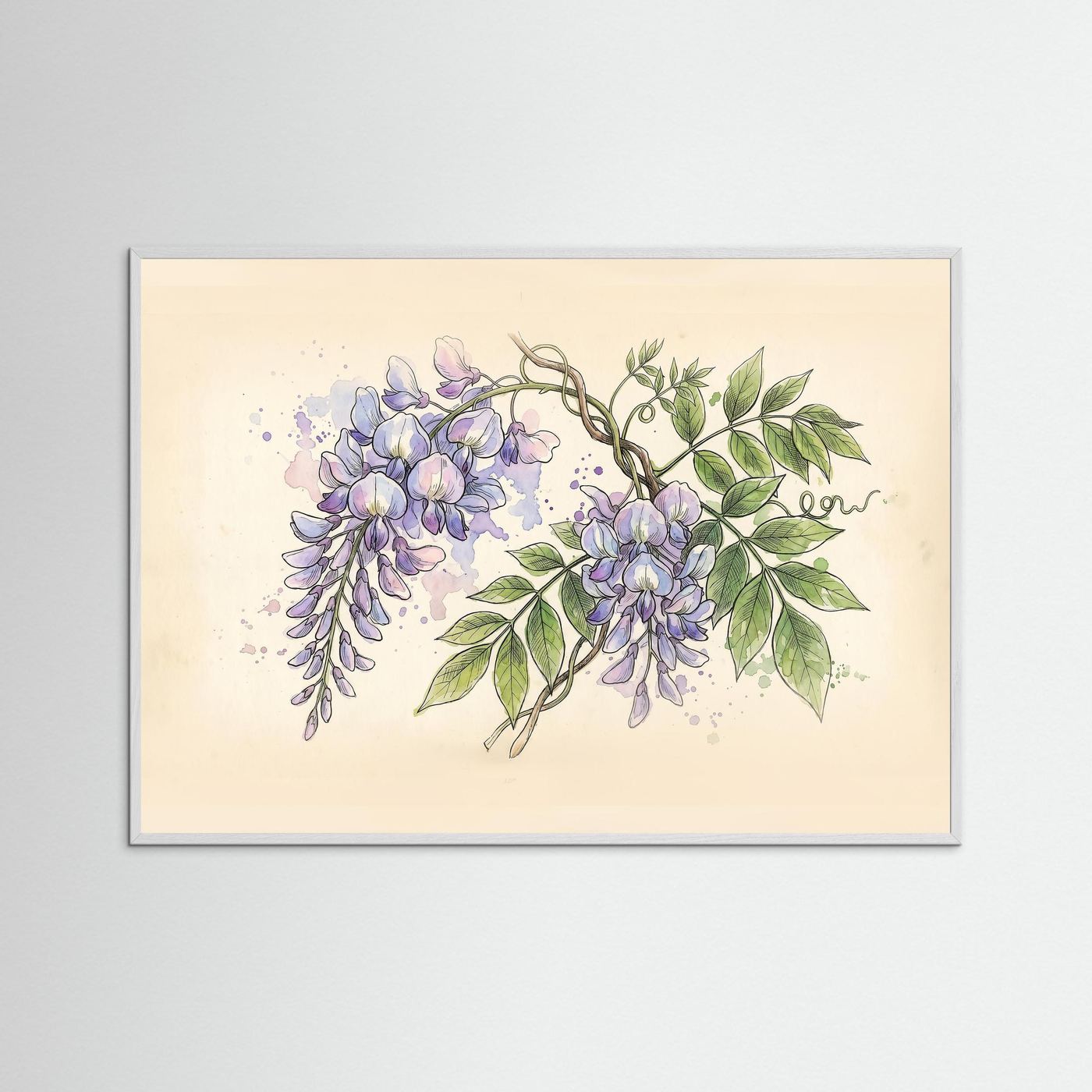 Wisteria / Botanical Print