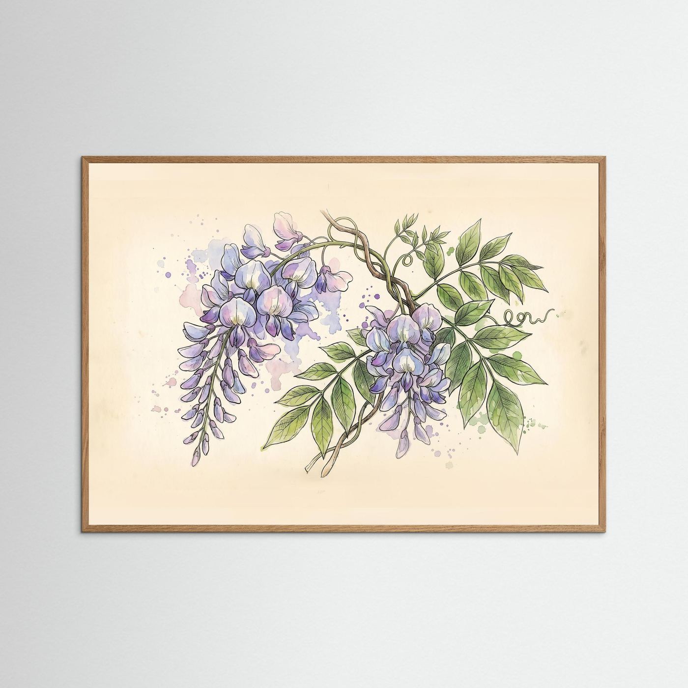 Wisteria / Botanical Print