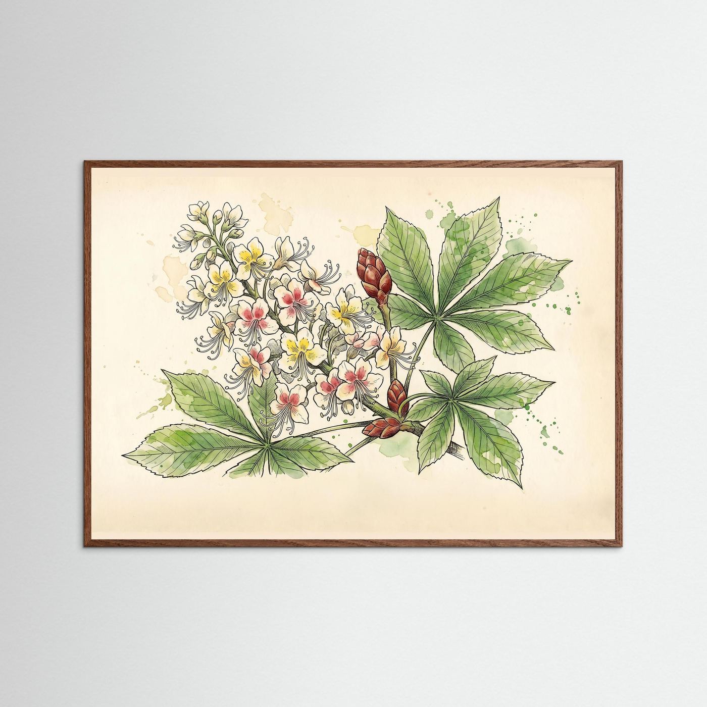 Horse Chestnut Bloom / Botanical Print
