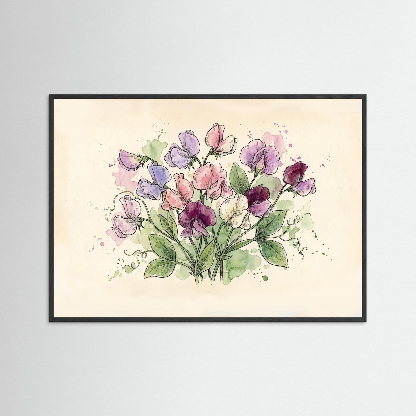 Sweetpea / Botanical print