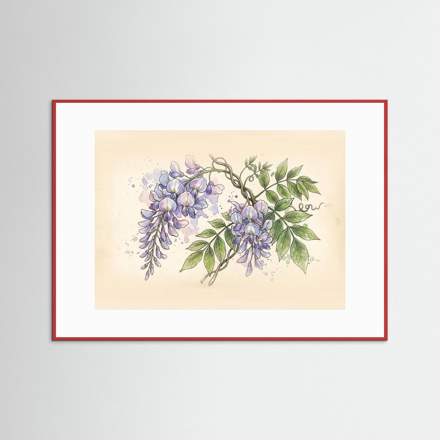 Wisteria / Botanical Print