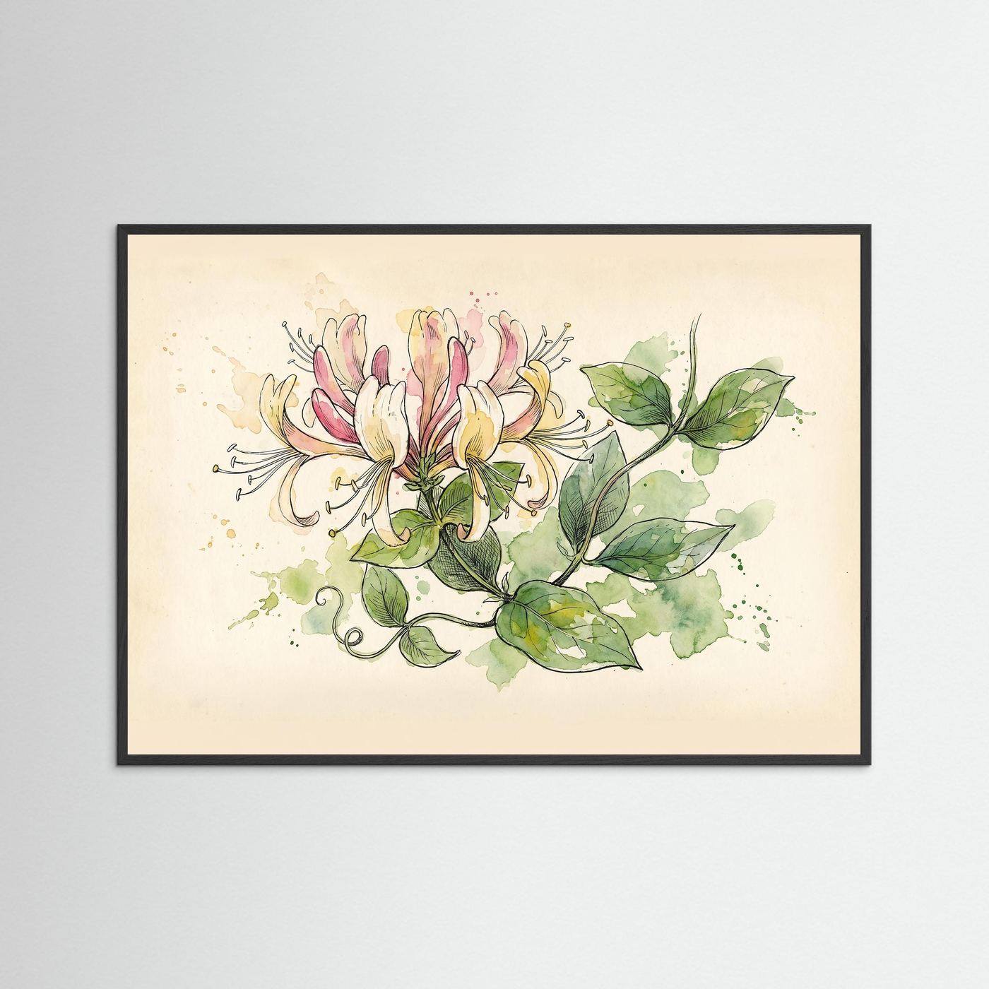 Honeysuckle / Botanical Print