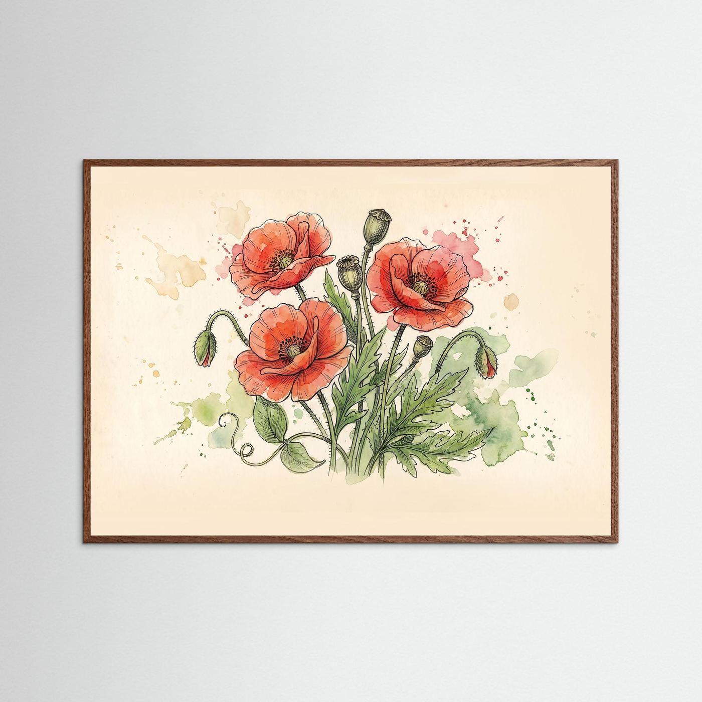 Wld poppy / Art Print/ Botanical Illustration