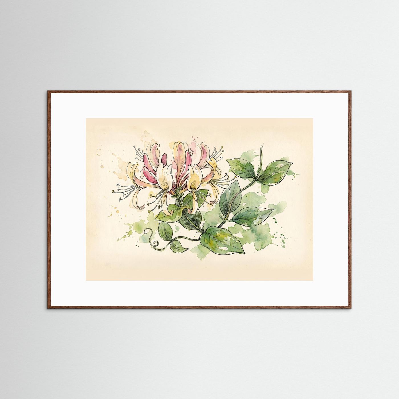 Honeysuckle / Botanical Print