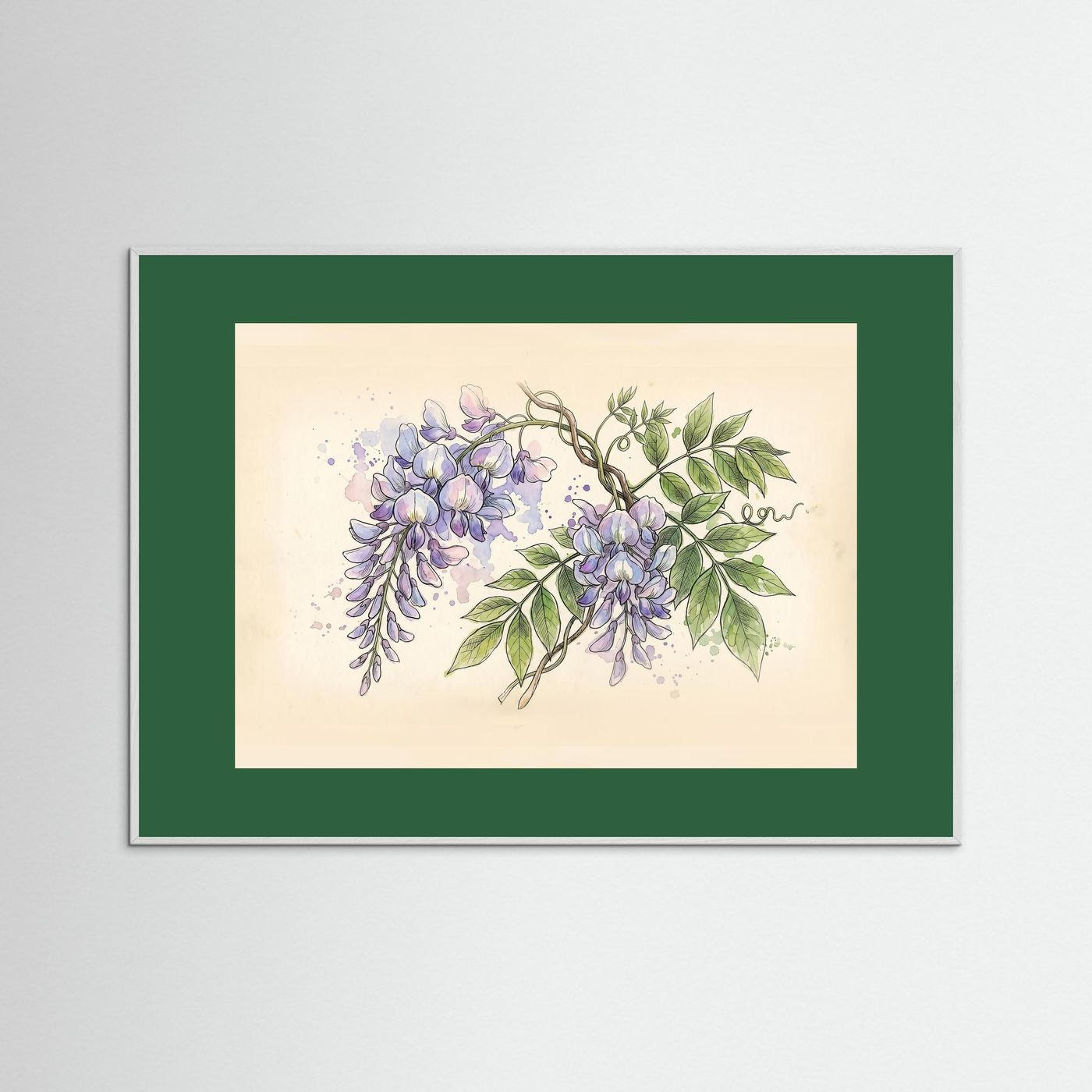 Wisteria / Botanical Print